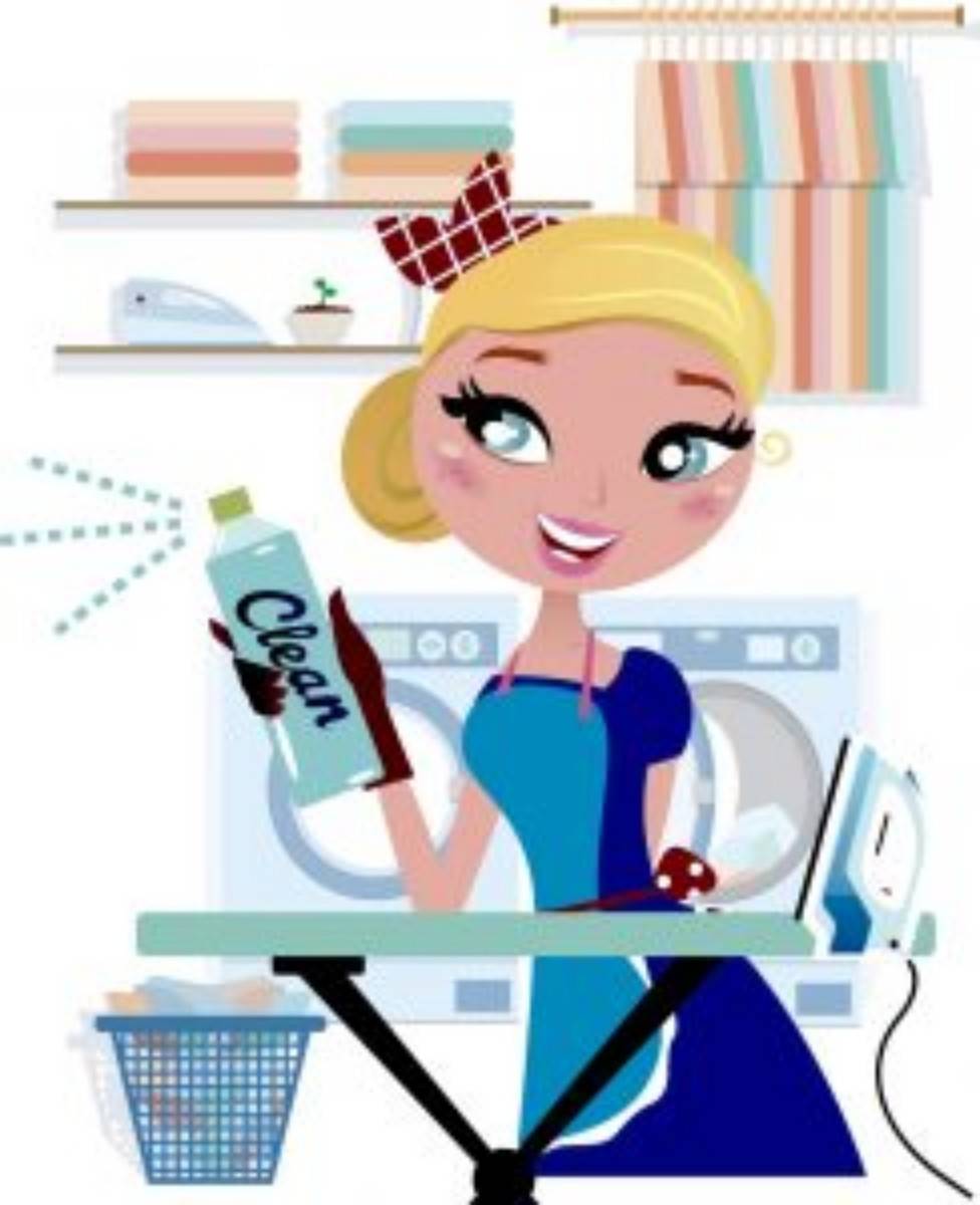 Propose services de ménage