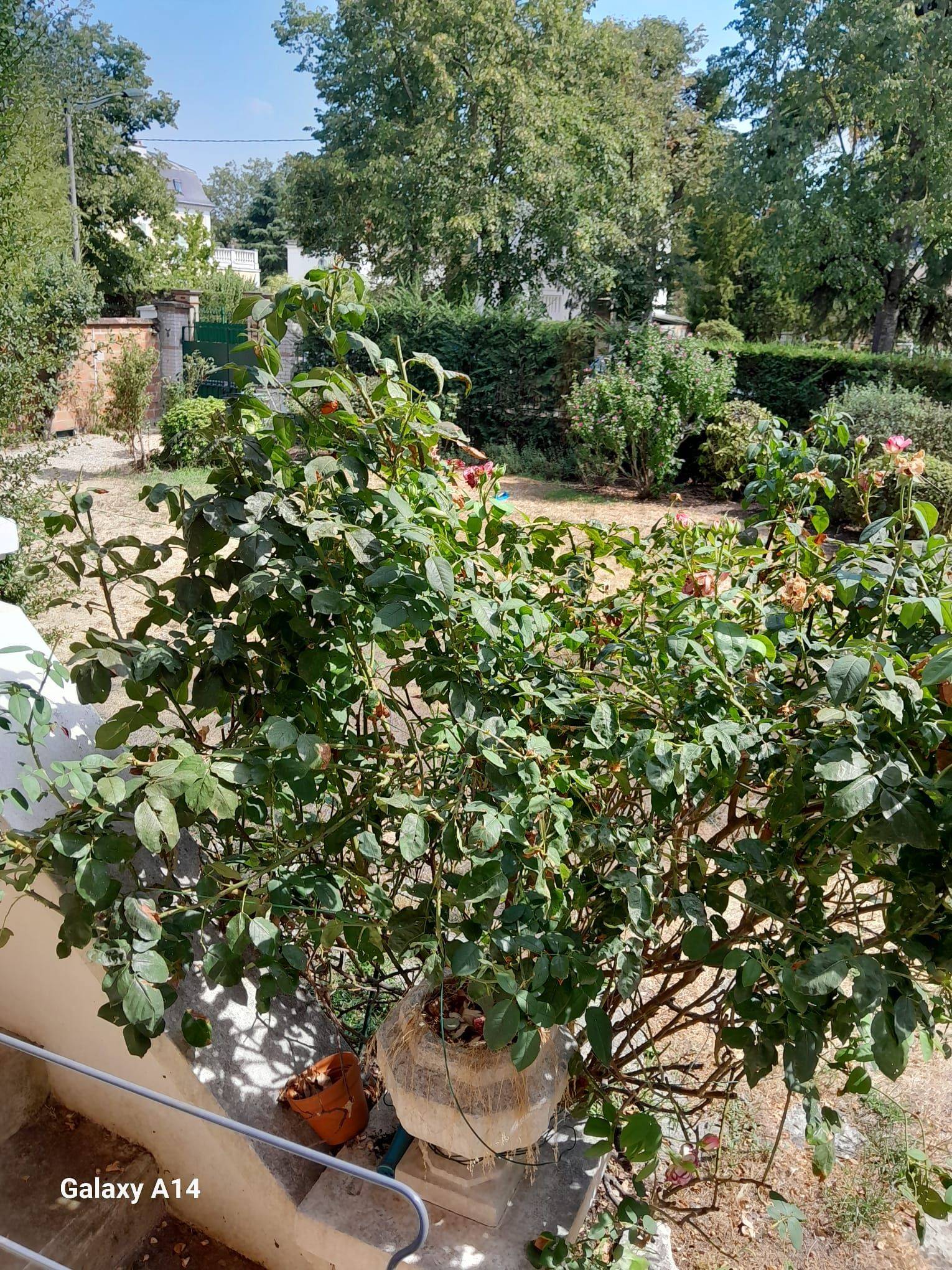 Propose Arrosage du jardin