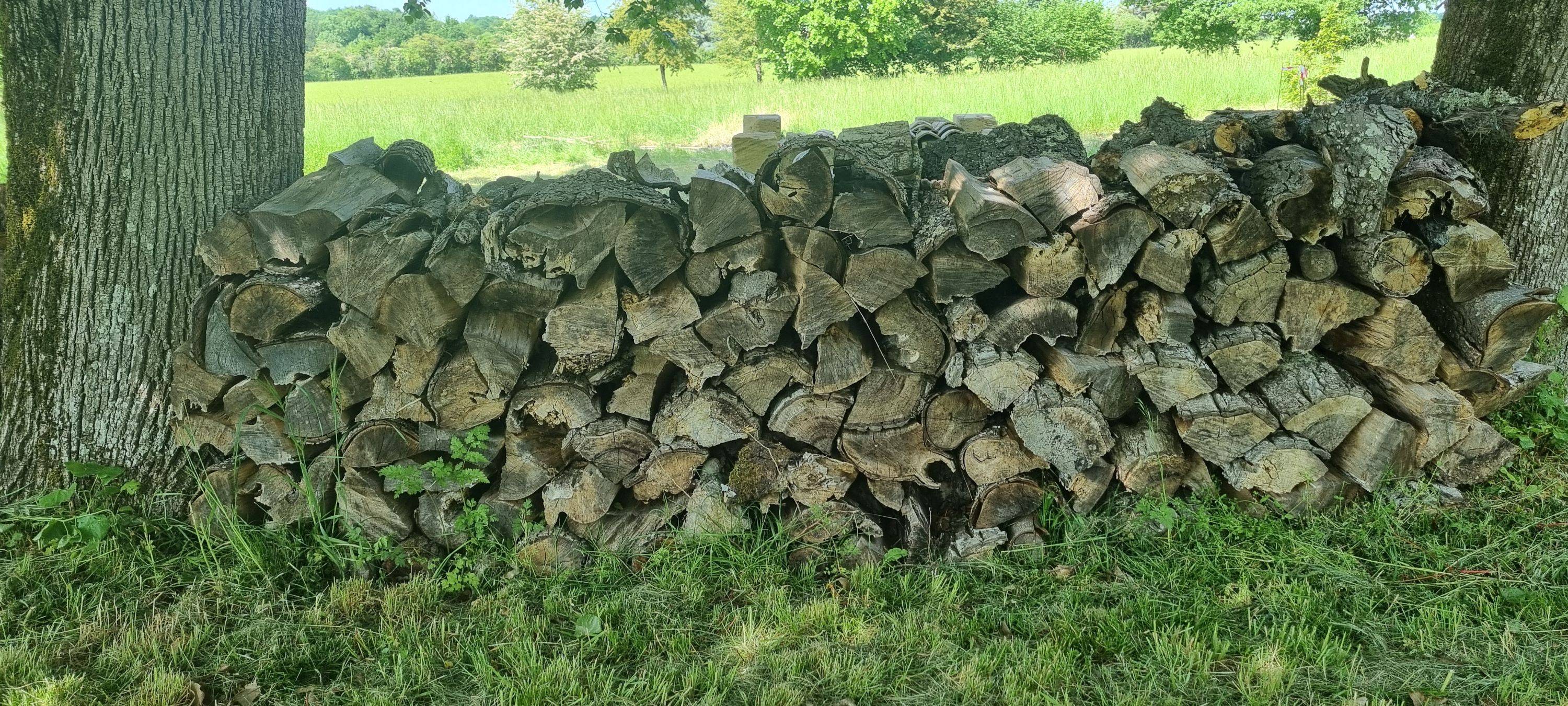 Vends 3 stères de bois à Saint-Léon (Gironde)