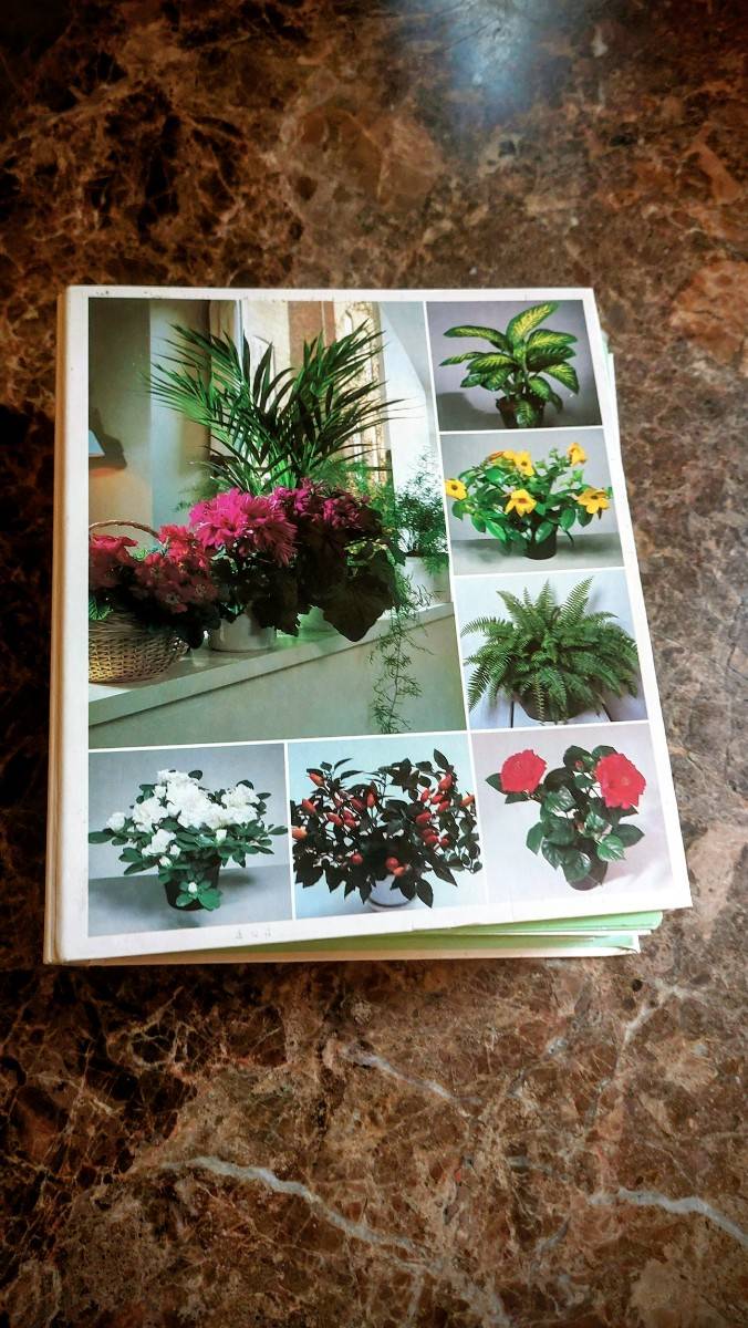 Classeur sur les soins et beauté des plantes