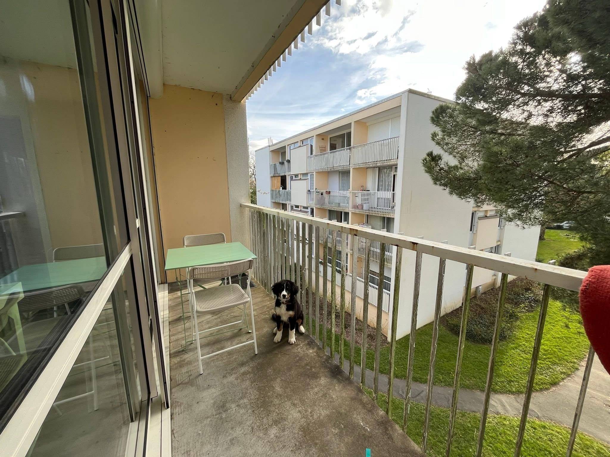 Une photo de l’annonce