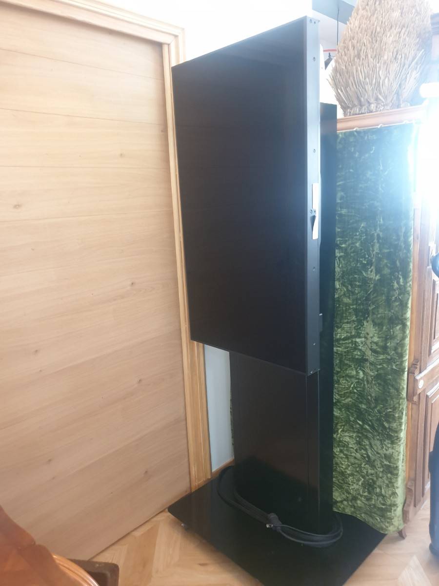 Vends télévision pour showroom