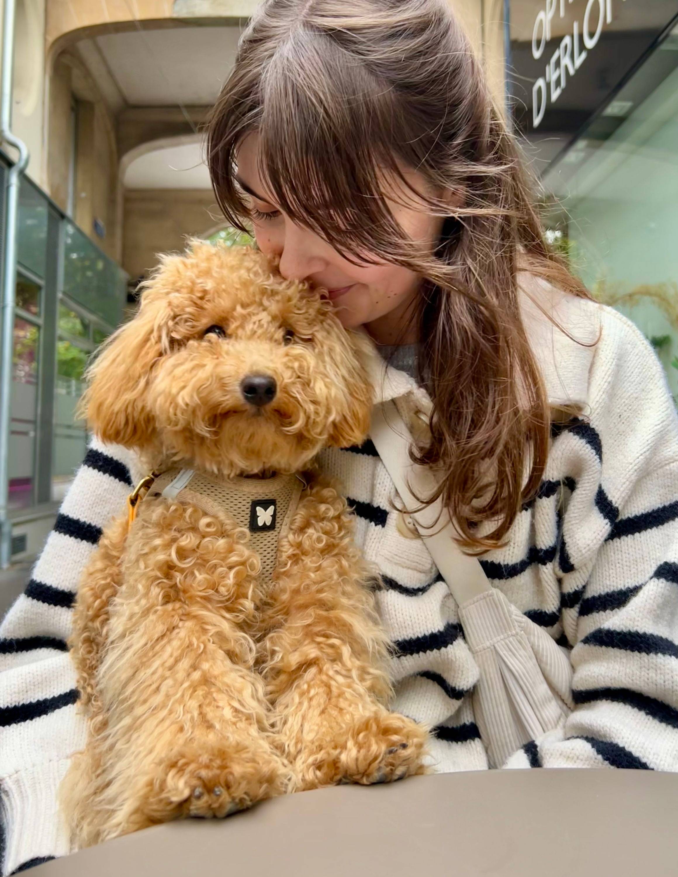 Propose dog-sitting régulier/ponctuel en semaine