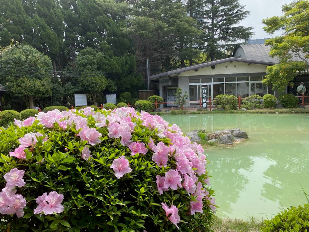 Propose voyage au Japon en petit groupe au printemps 2027 le 26 mars