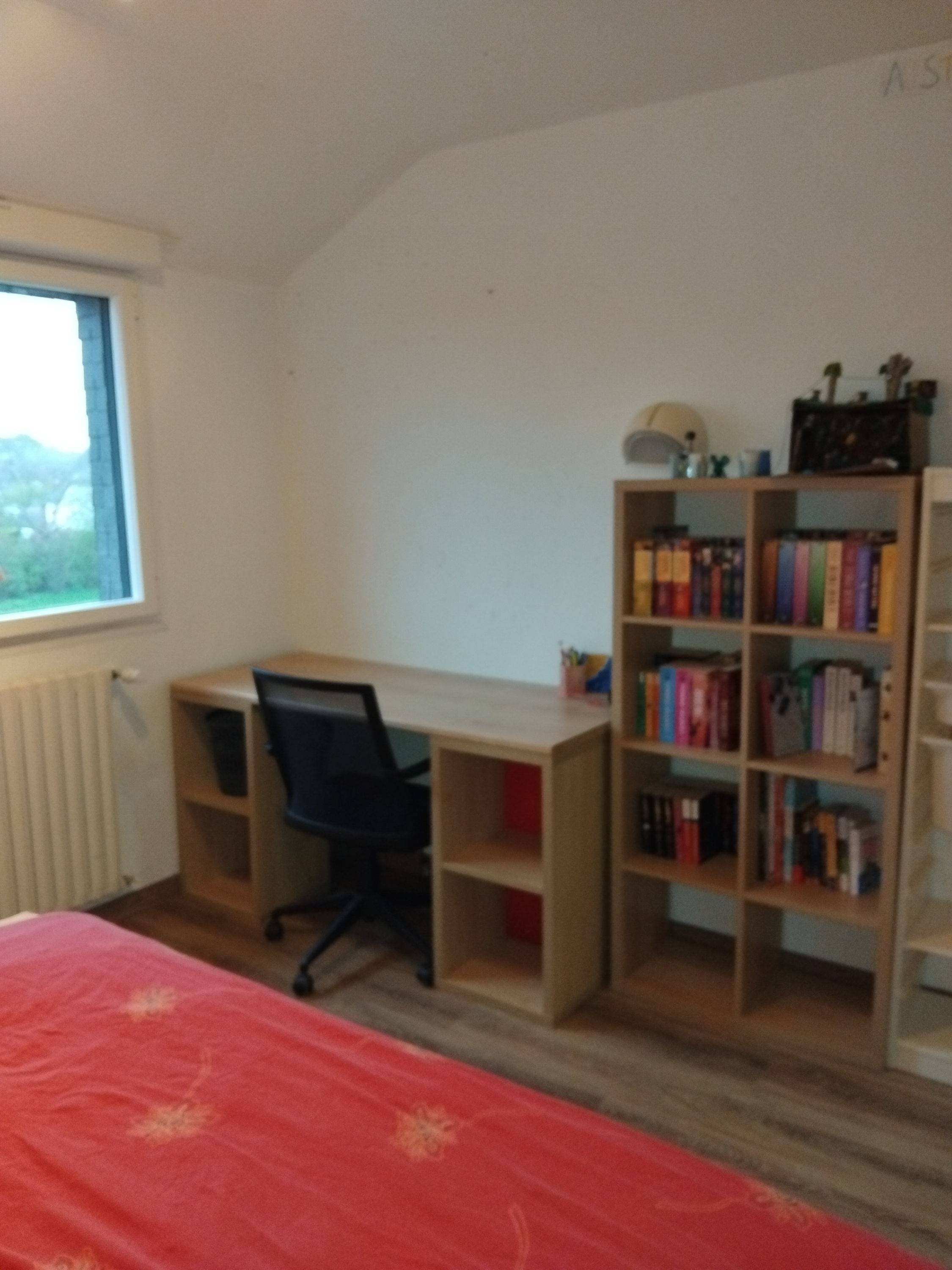 Une photo de l’annonce