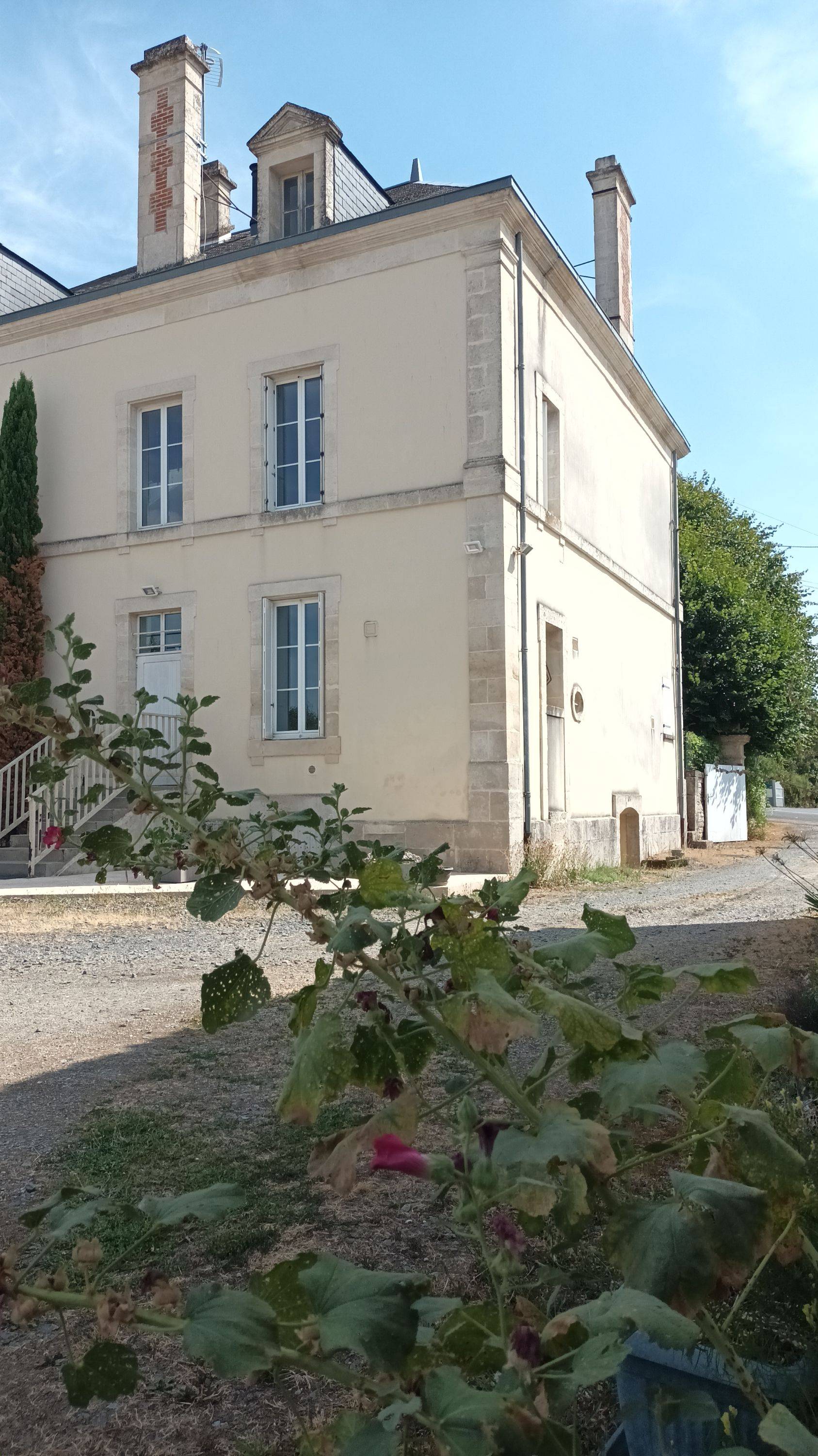 Une photo de l’annonce