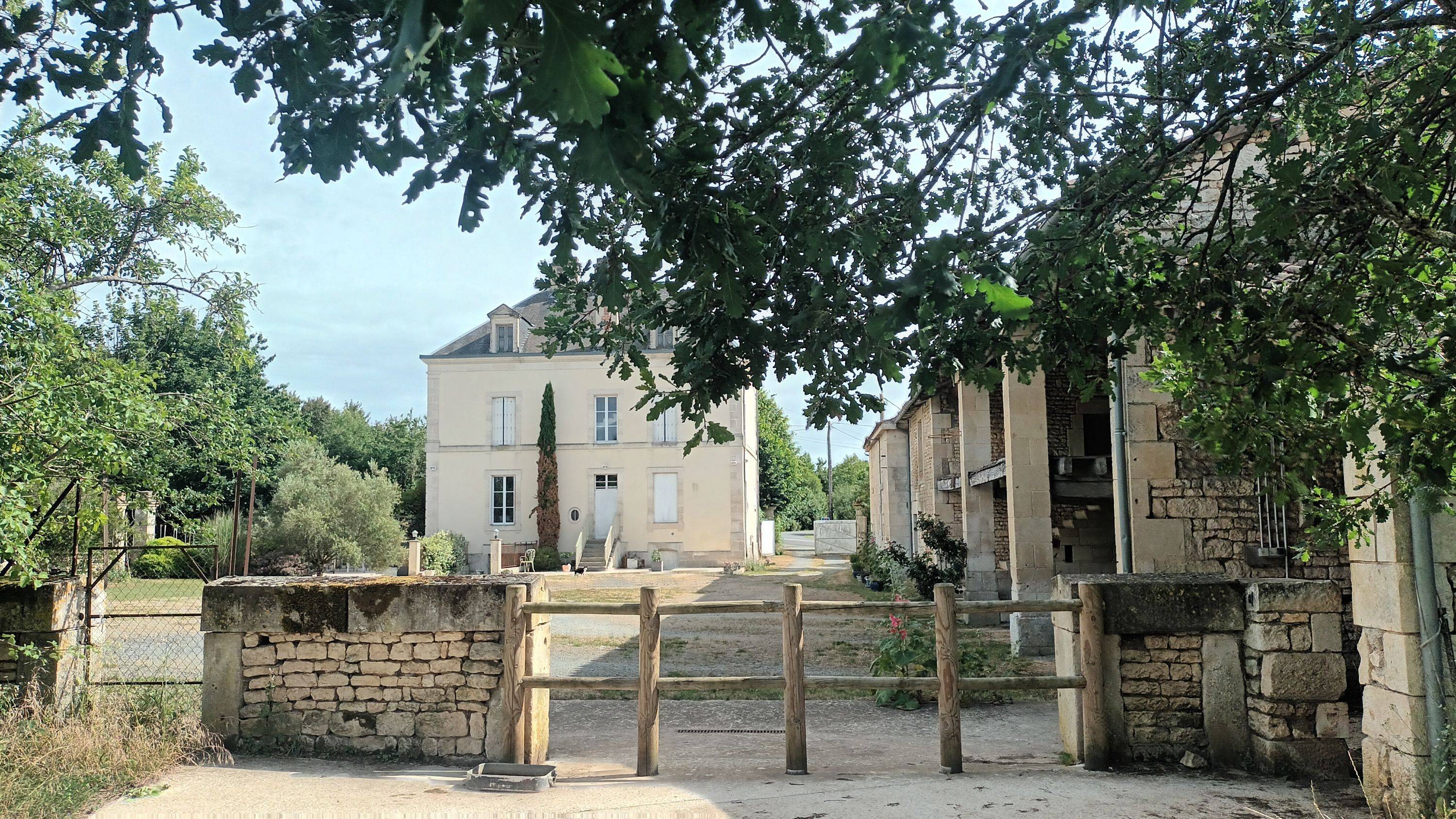 Une photo de l’annonce