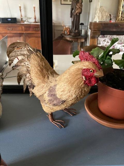 Vends plusieurs poules d’intérieur décoratives