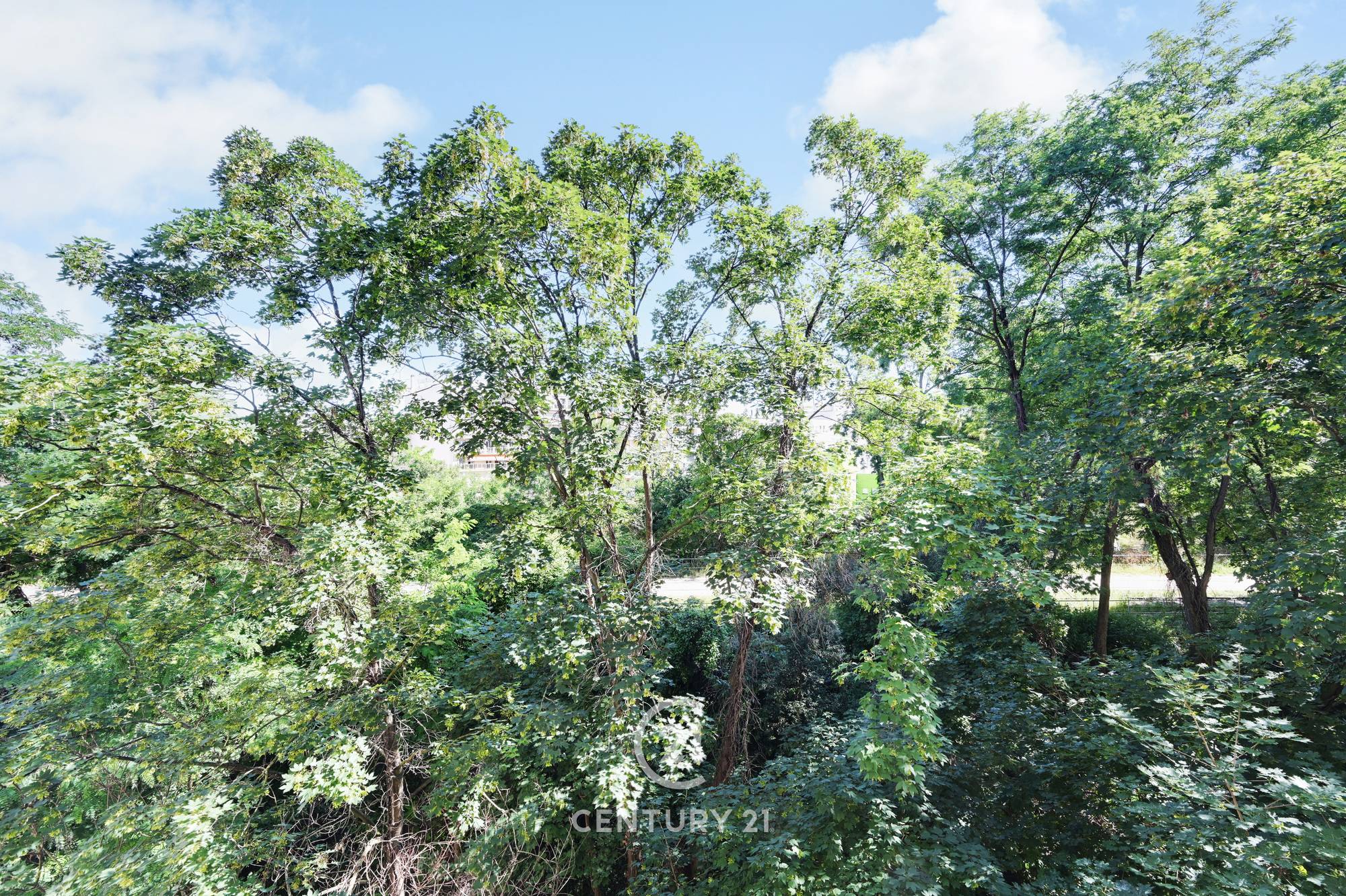 Vends appartement avec vue dégagée - 70m² - Coulée Verte
