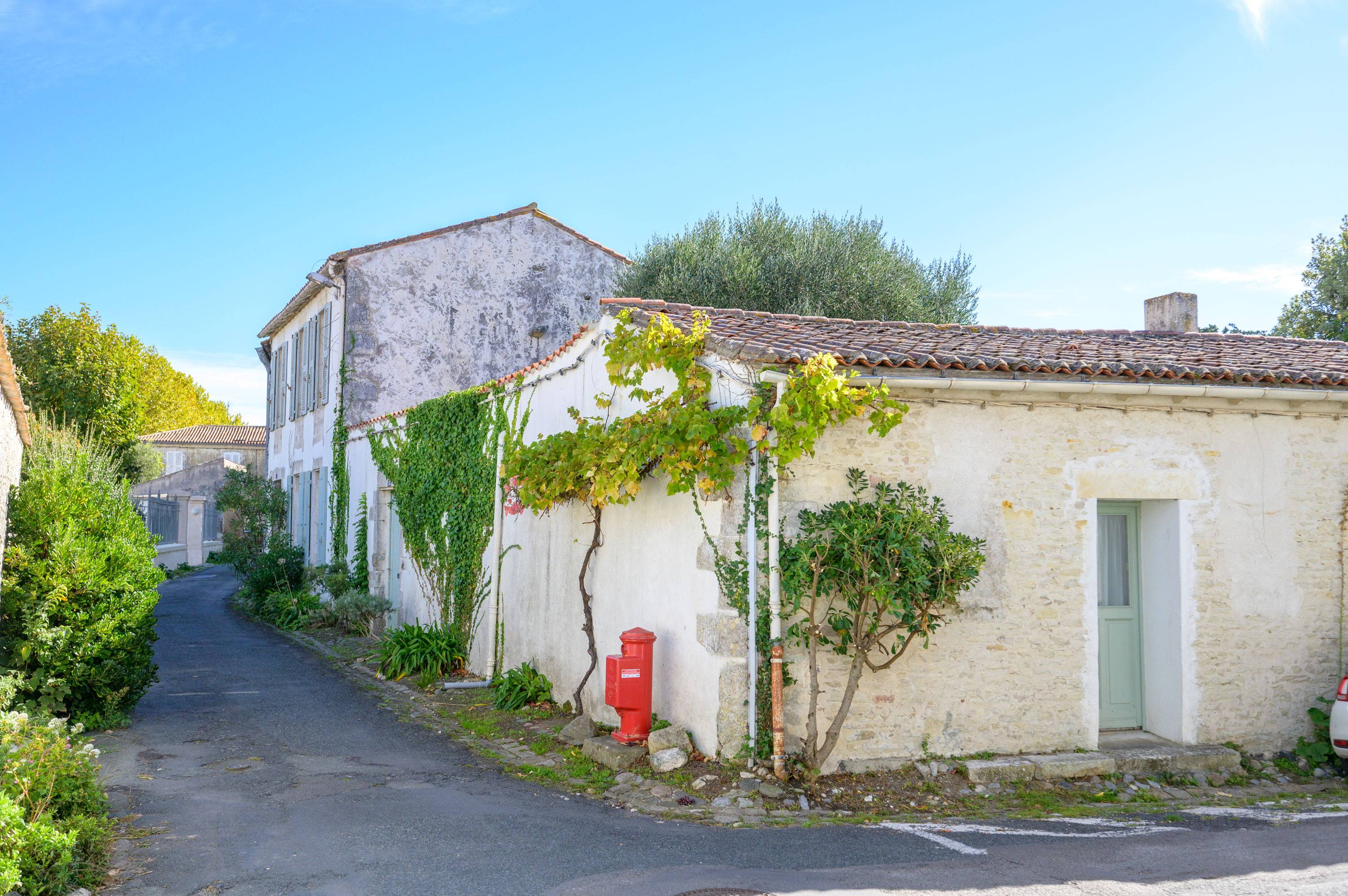 Une photo de l’annonce