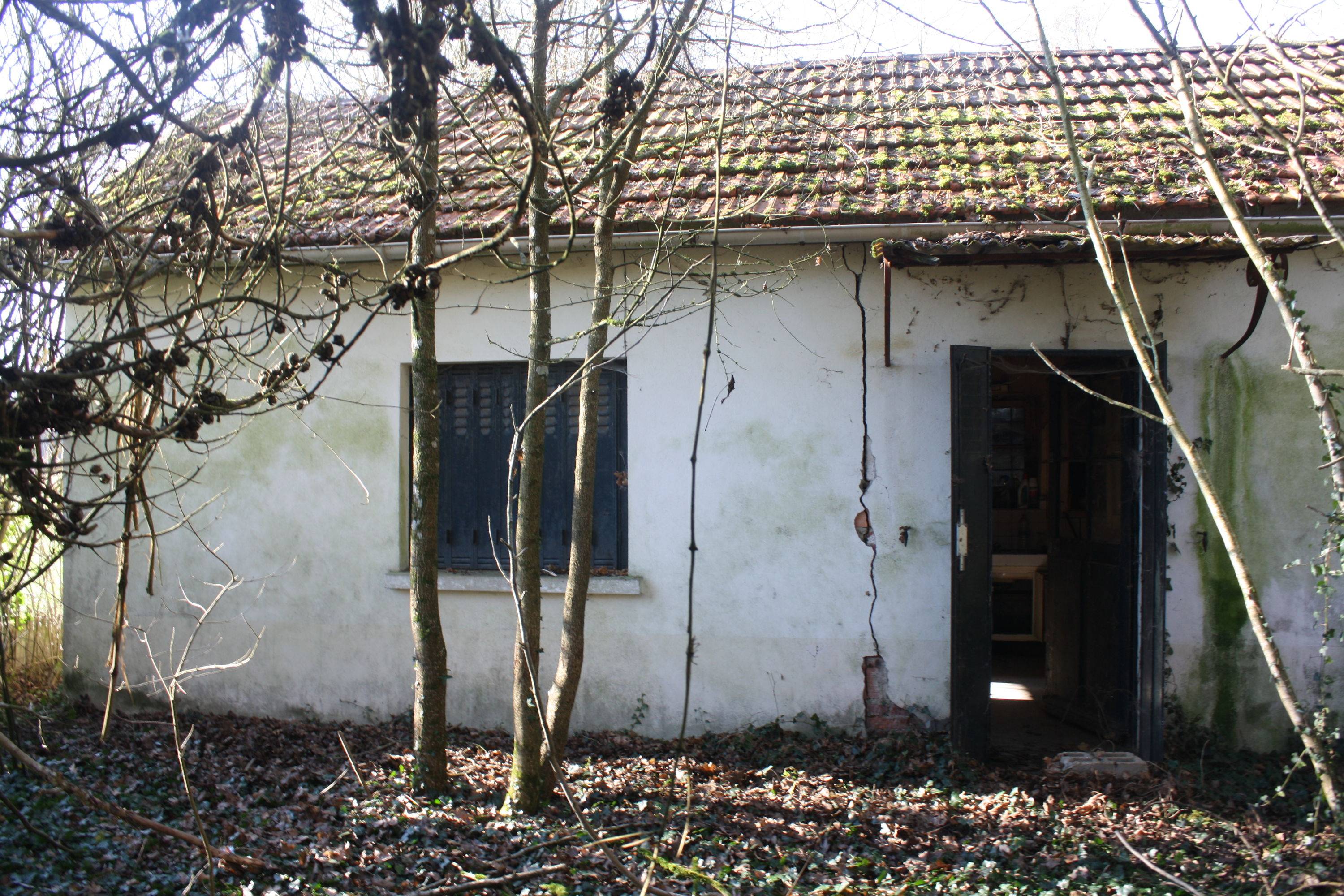 Une photo de l’annonce