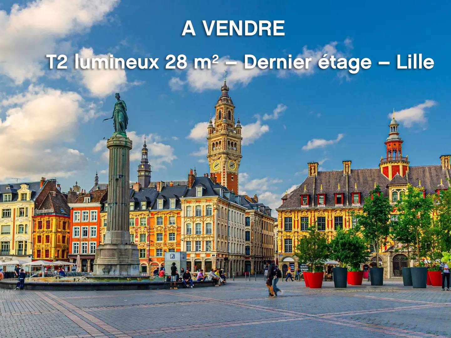 Une photo de l’annonce