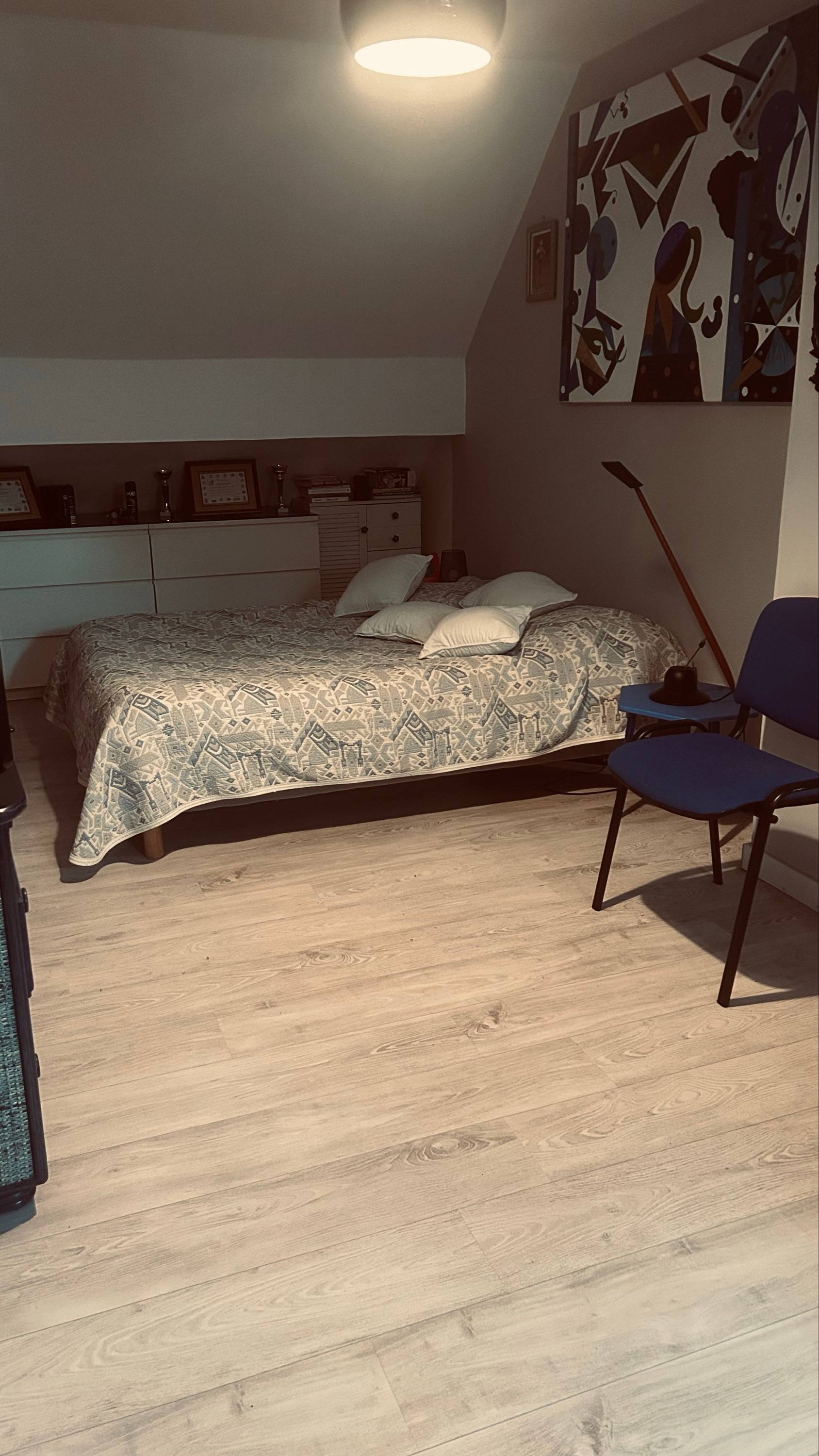 Une photo de l’annonce