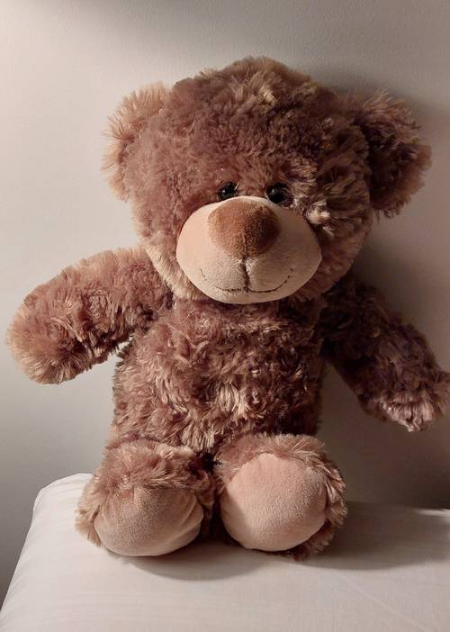 Ours Peluche tout moelleux Marque Minifeet