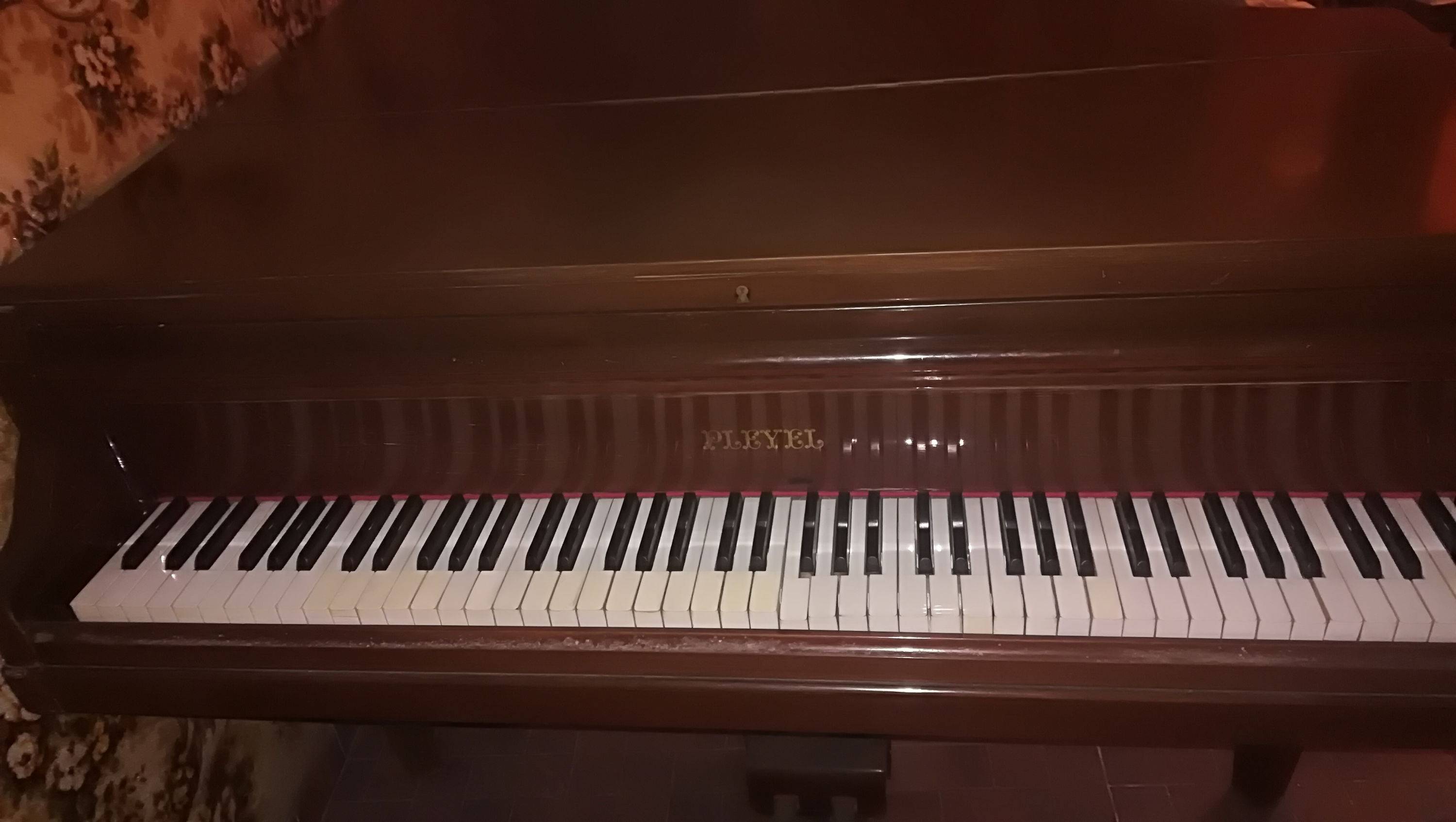 Vends beau piano à queue Pleyel ancien en bon état
