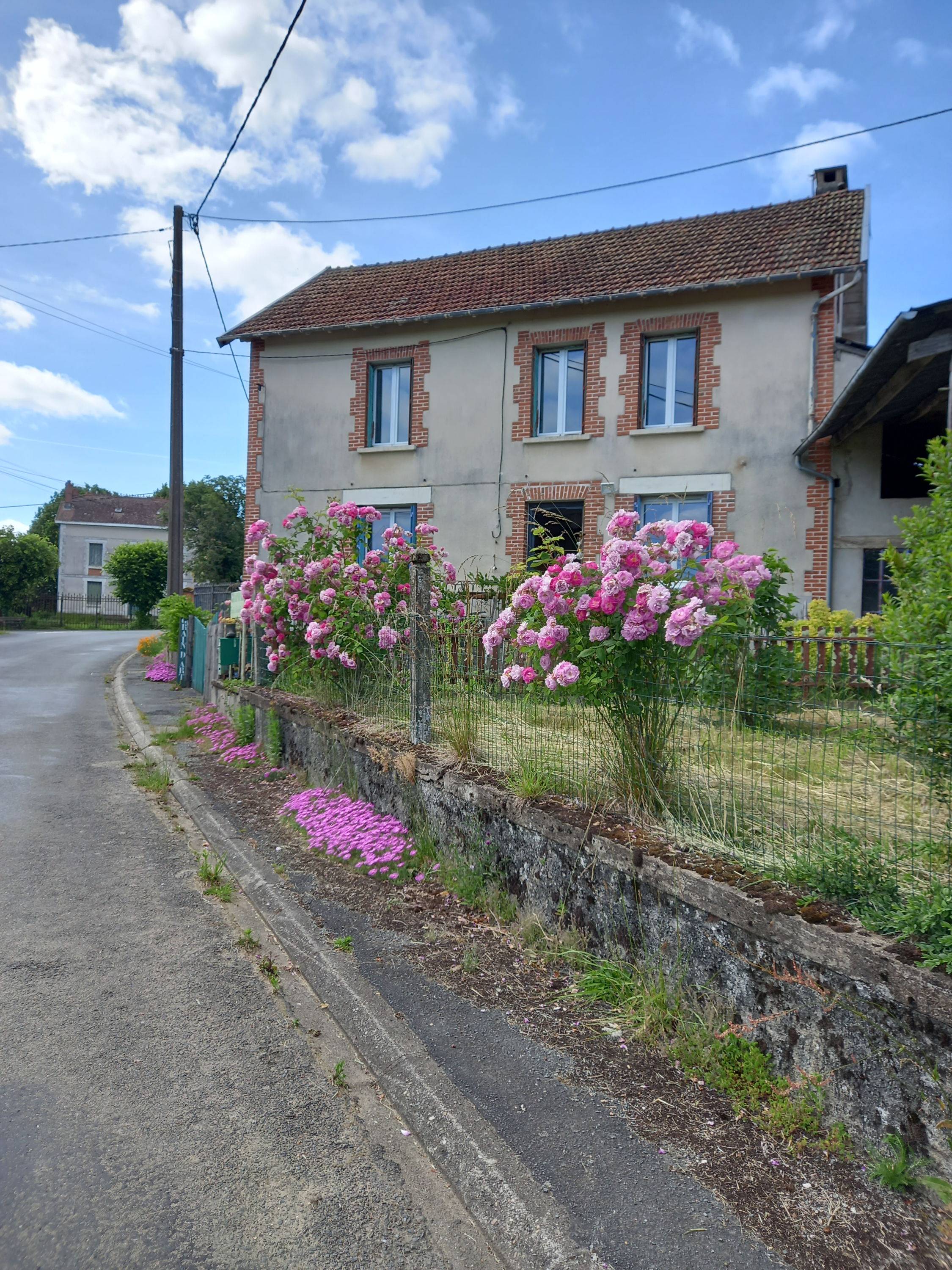 Une photo de l’annonce