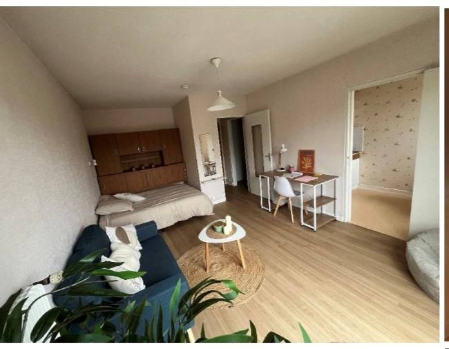 Une photo de l’annonce