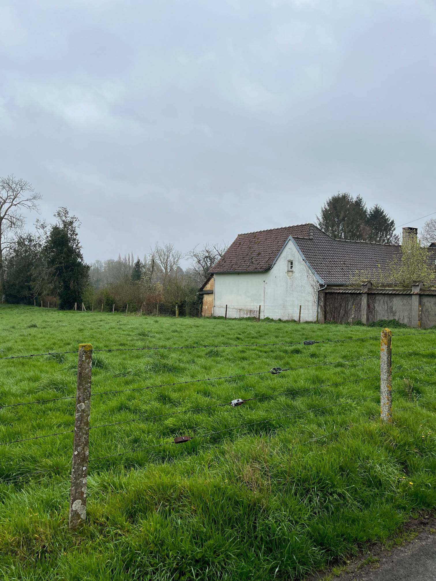 Une photo de l’annonce