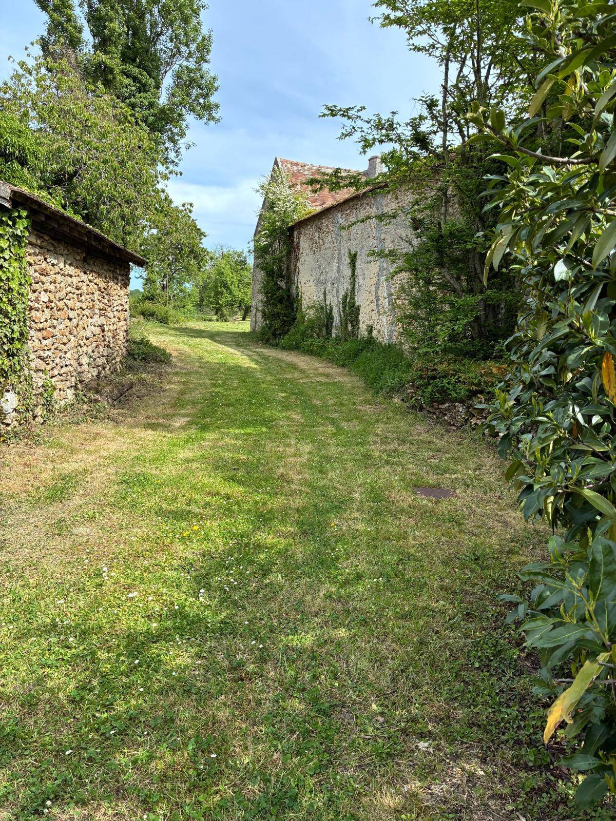Une photo de l’annonce