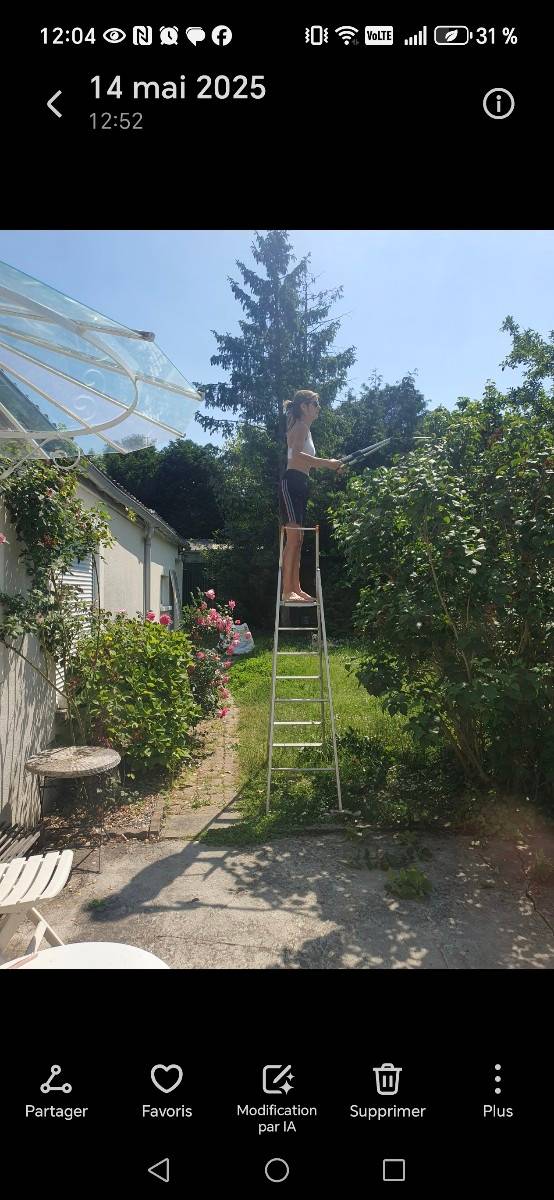 Une photo de l’annonce