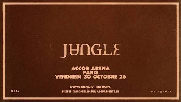 Propose 2 places pour le concert de Jungle à Bercy le 30 octobre