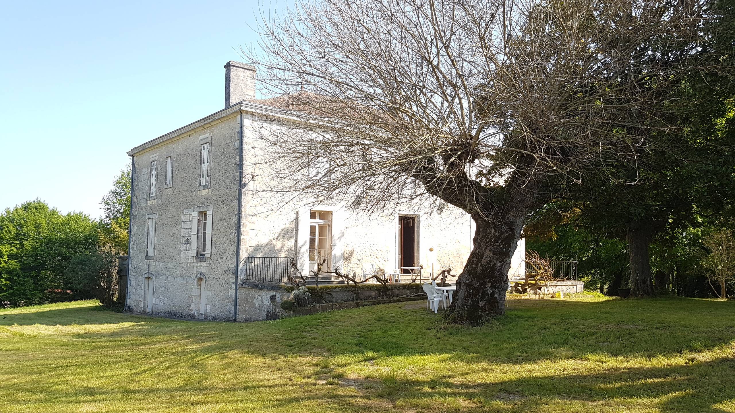 Une photo de l’annonce