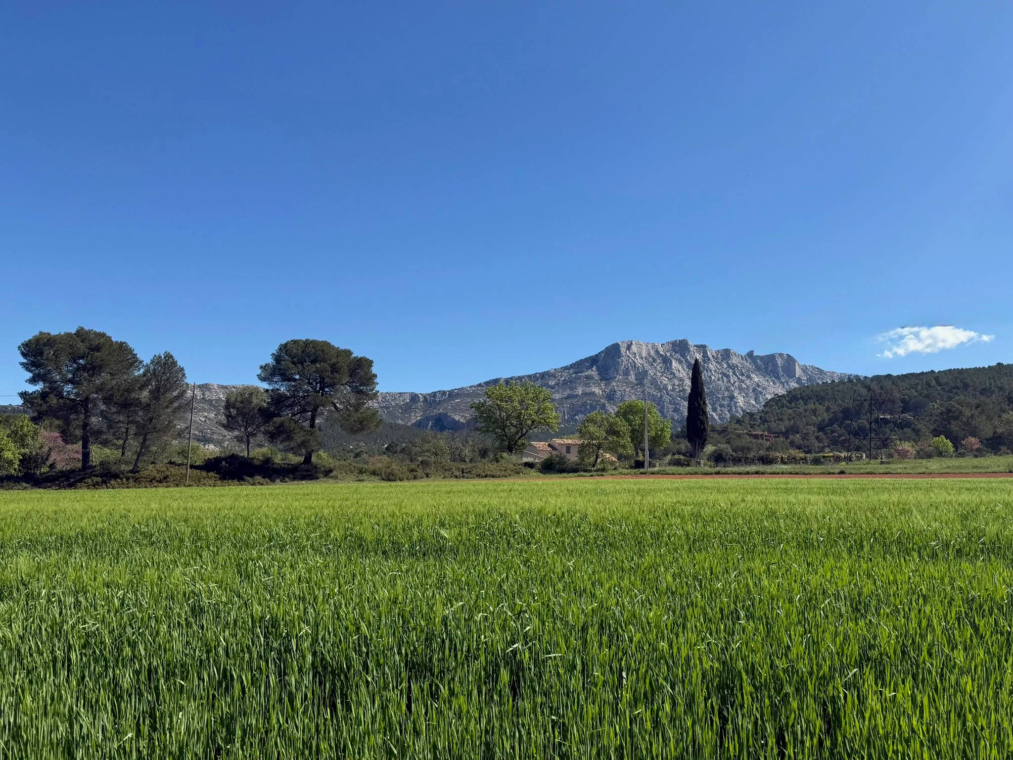 Une photo de l’annonce de location de vacances