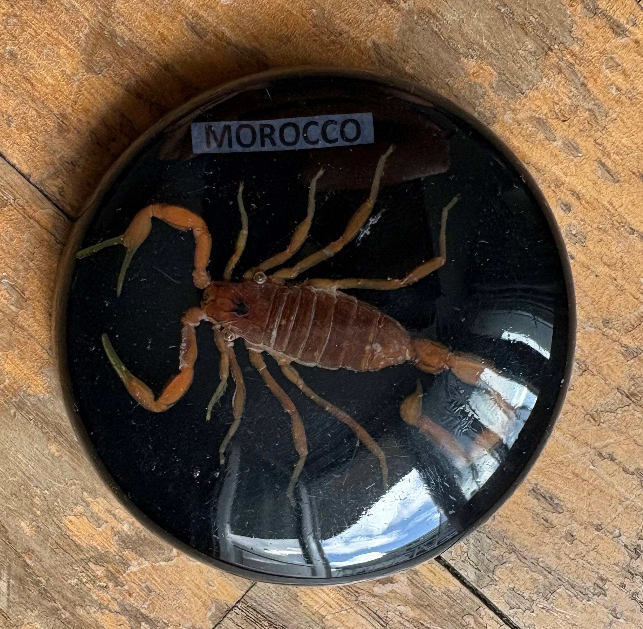 Vends magnet Scorpion Casablanca