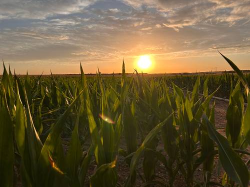 Recrute salarié agricole H/F