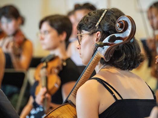 Propose cours de violoncelle