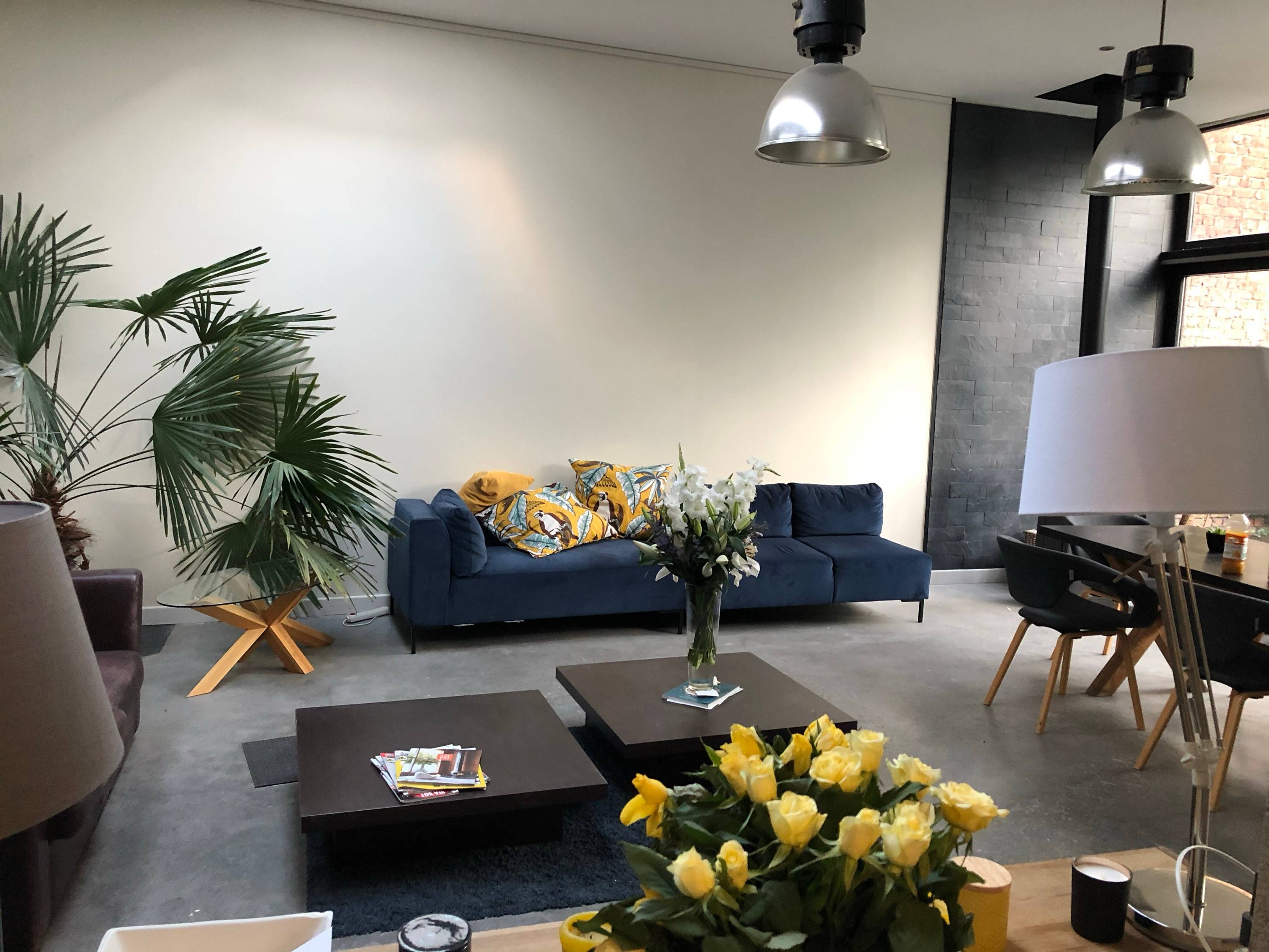 Une photo de l’annonce