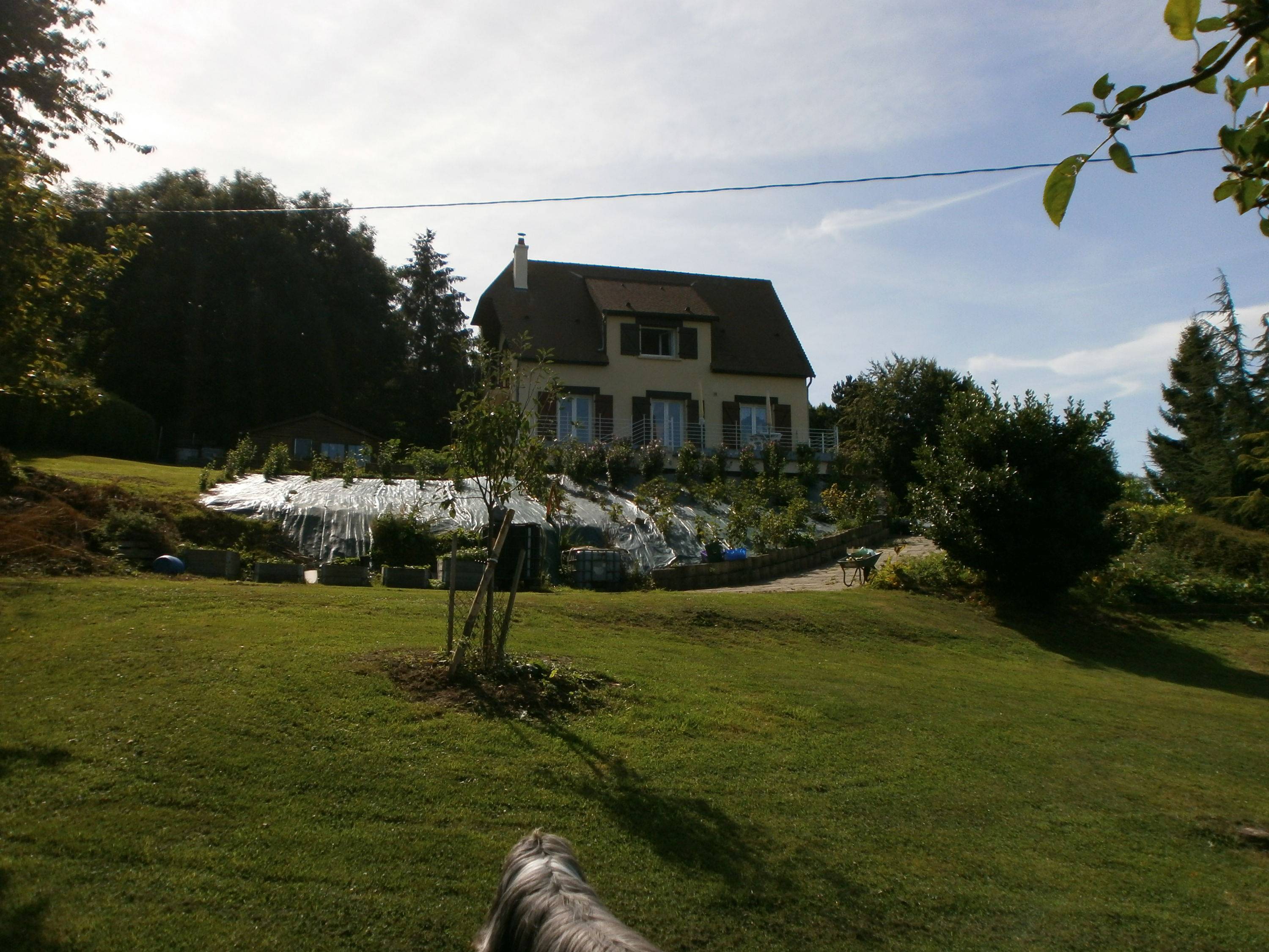 Une photo de l’annonce