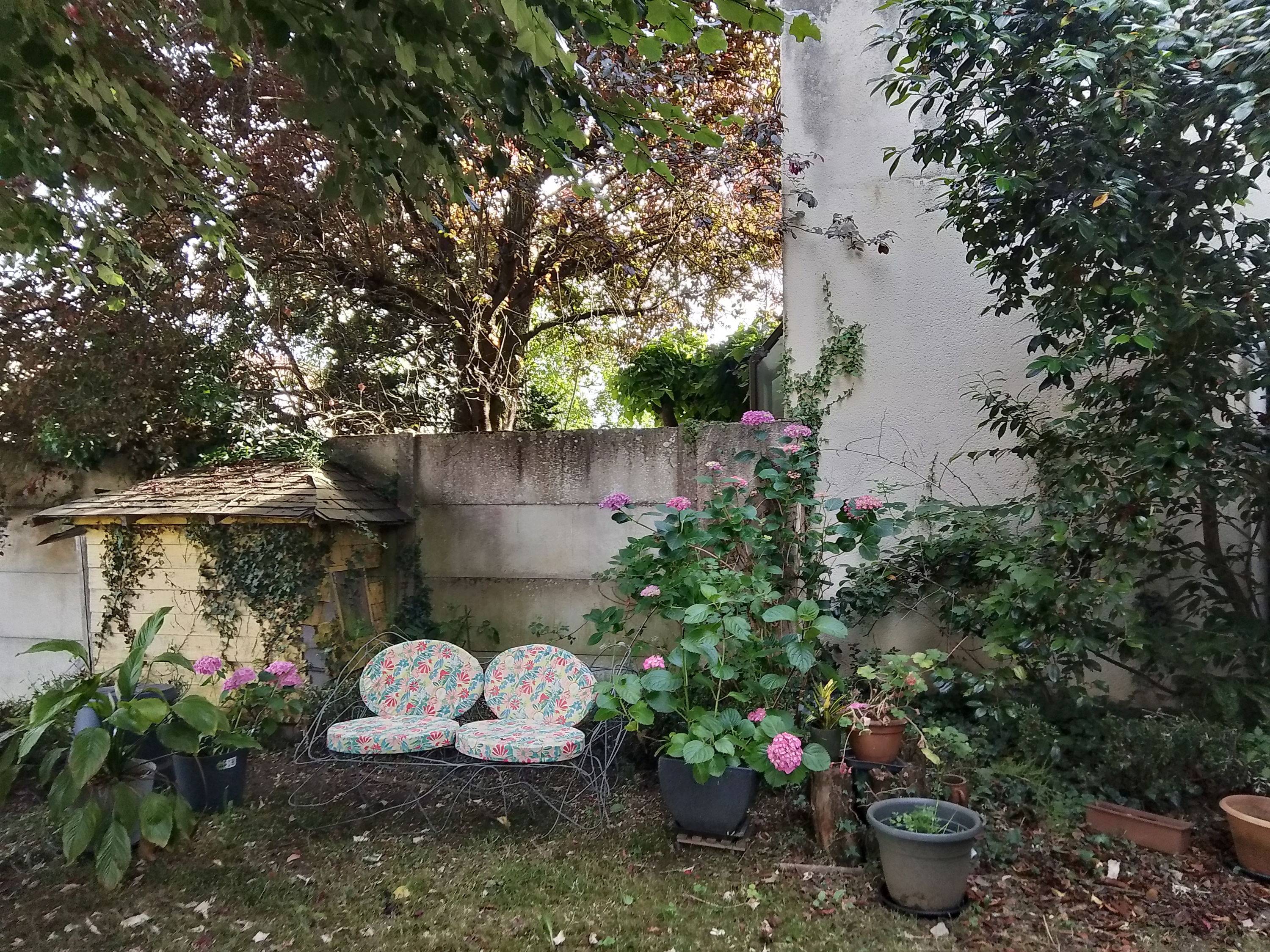 Une photo de l’annonce