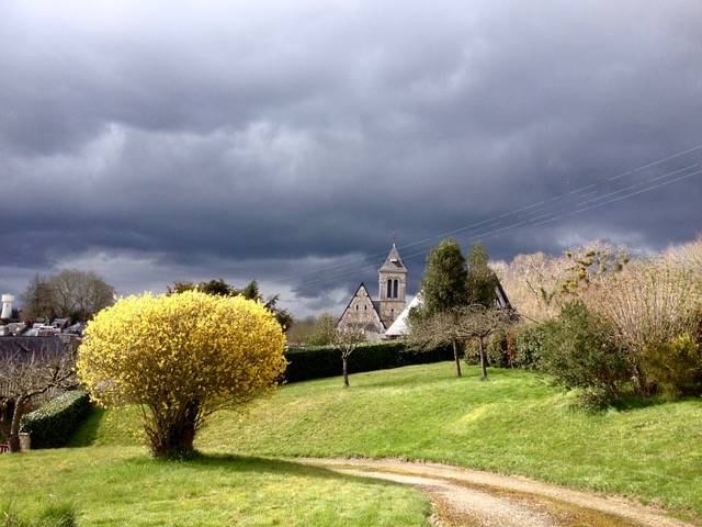Une photo de l’annonce