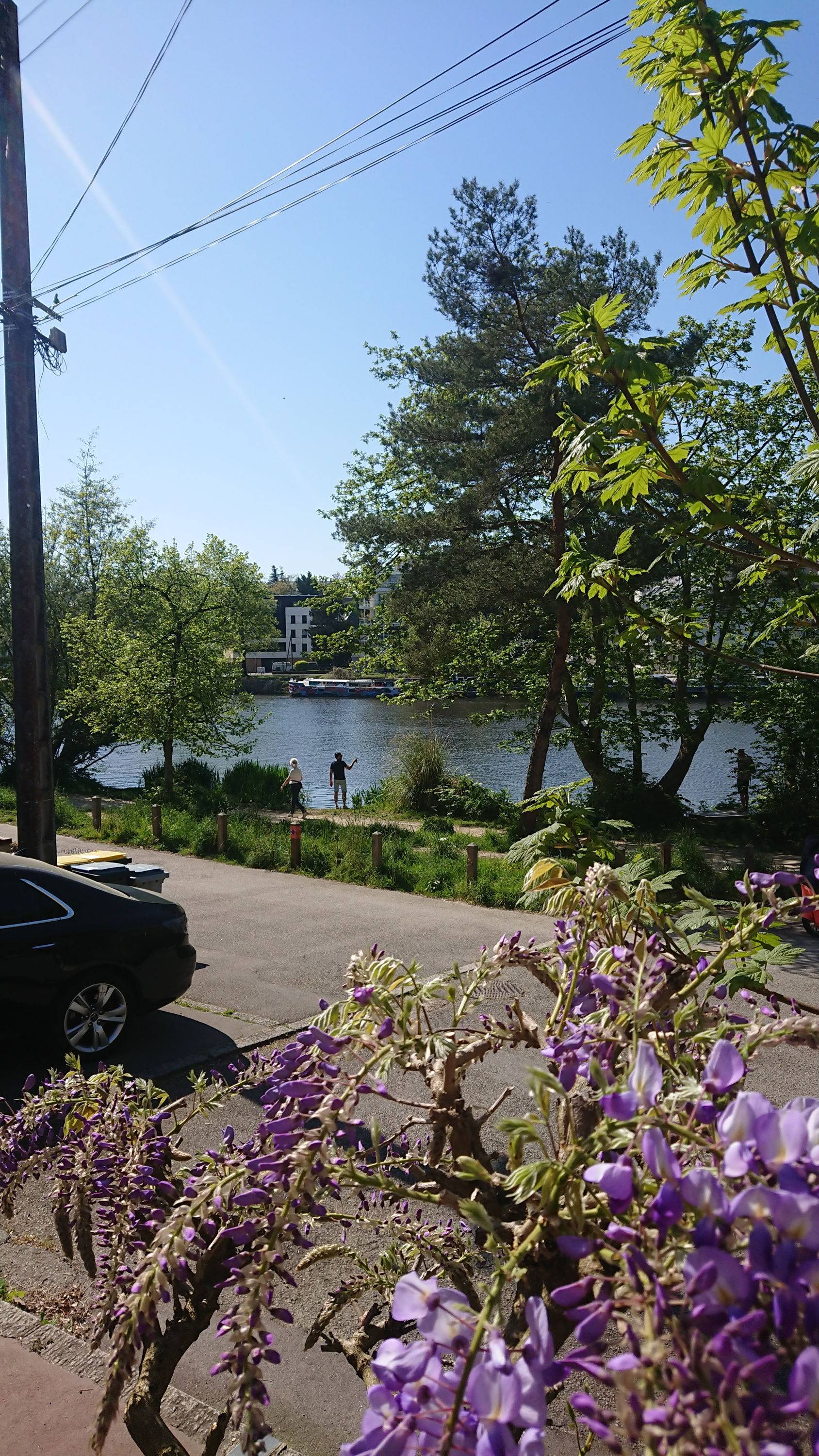 Une photo de l’annonce