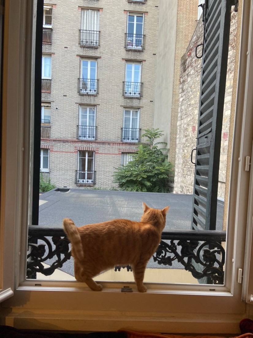Une photo de l’annonce