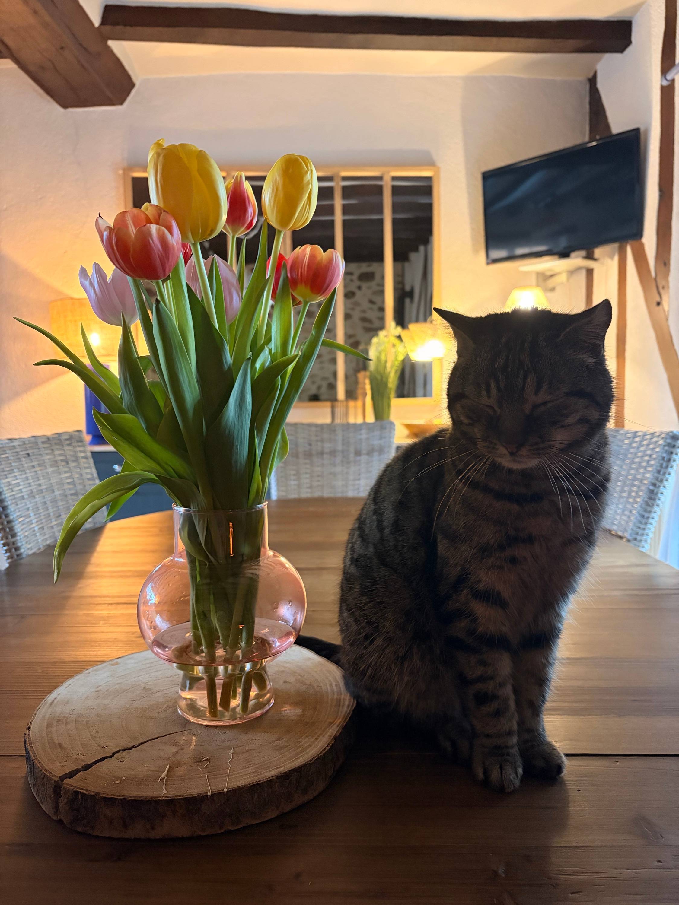 Propose garde d’animaux lors de vos vacances
