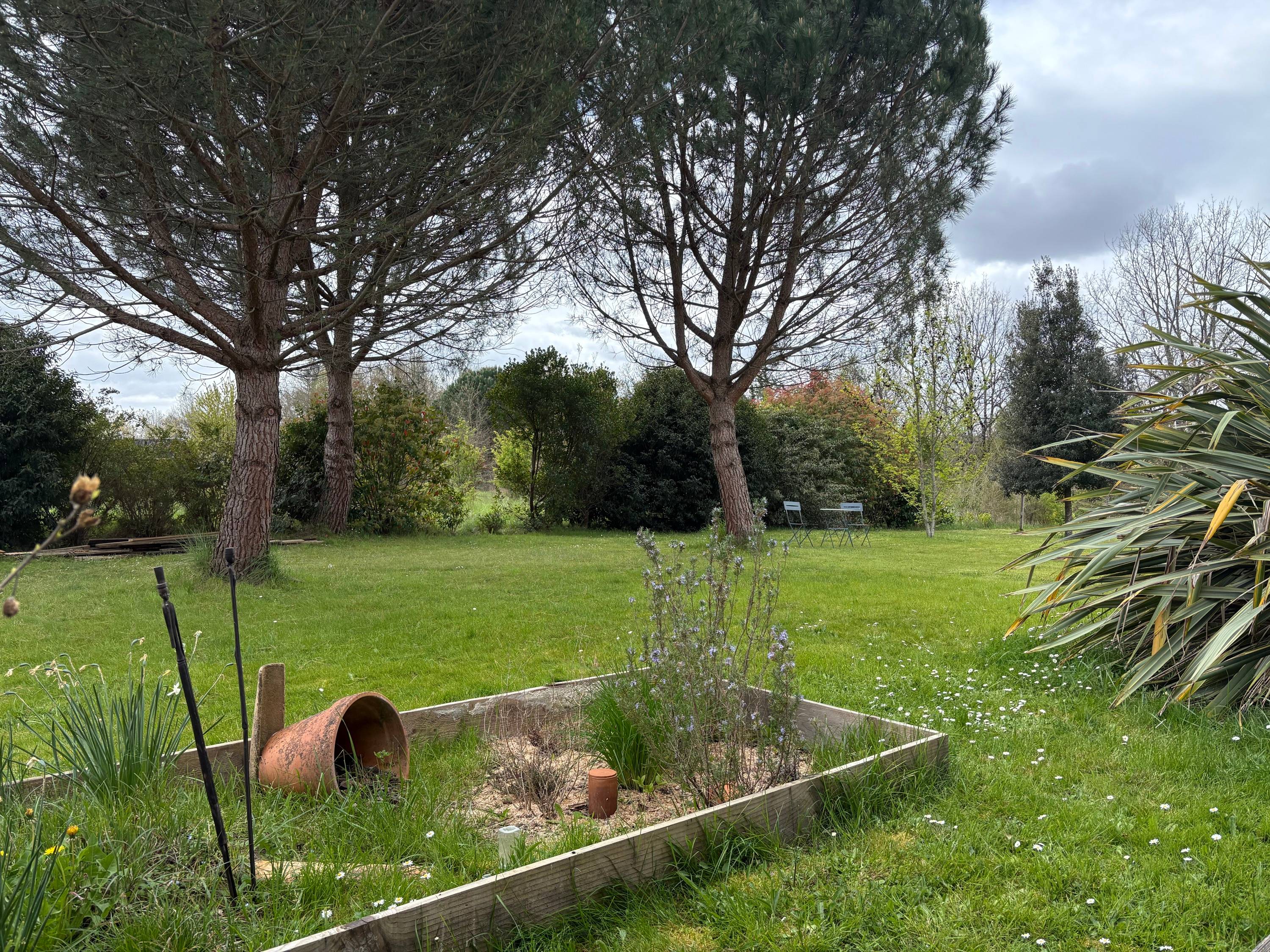 Une photo de l’annonce