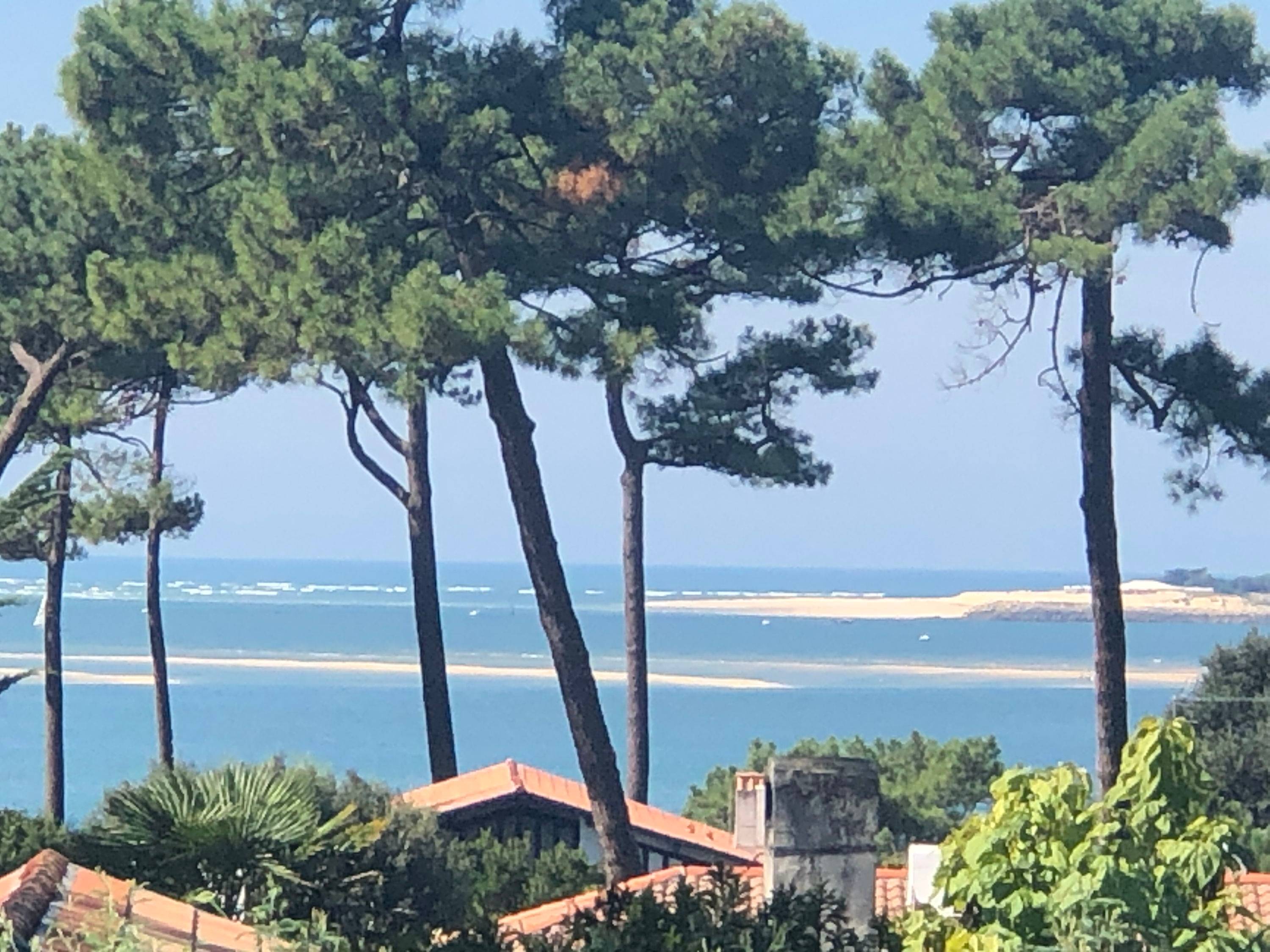 Loue studio cabane en bois - 2 couchages - Pyla-sur-Mer (33) - terrasse - vue mer - piscine - plage à pied
