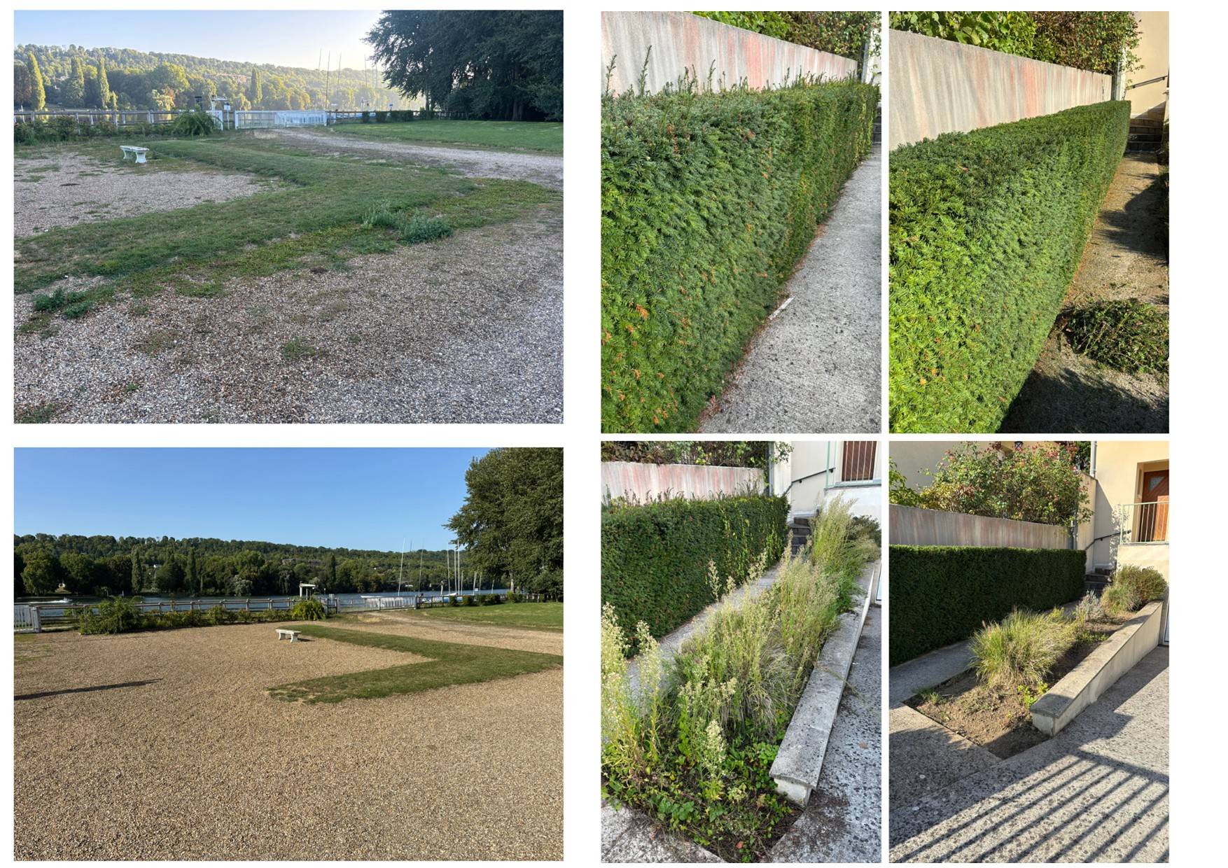 Propose services jardinage, taille, désherbage, tonte, plantation, paillage, aménagement massif…