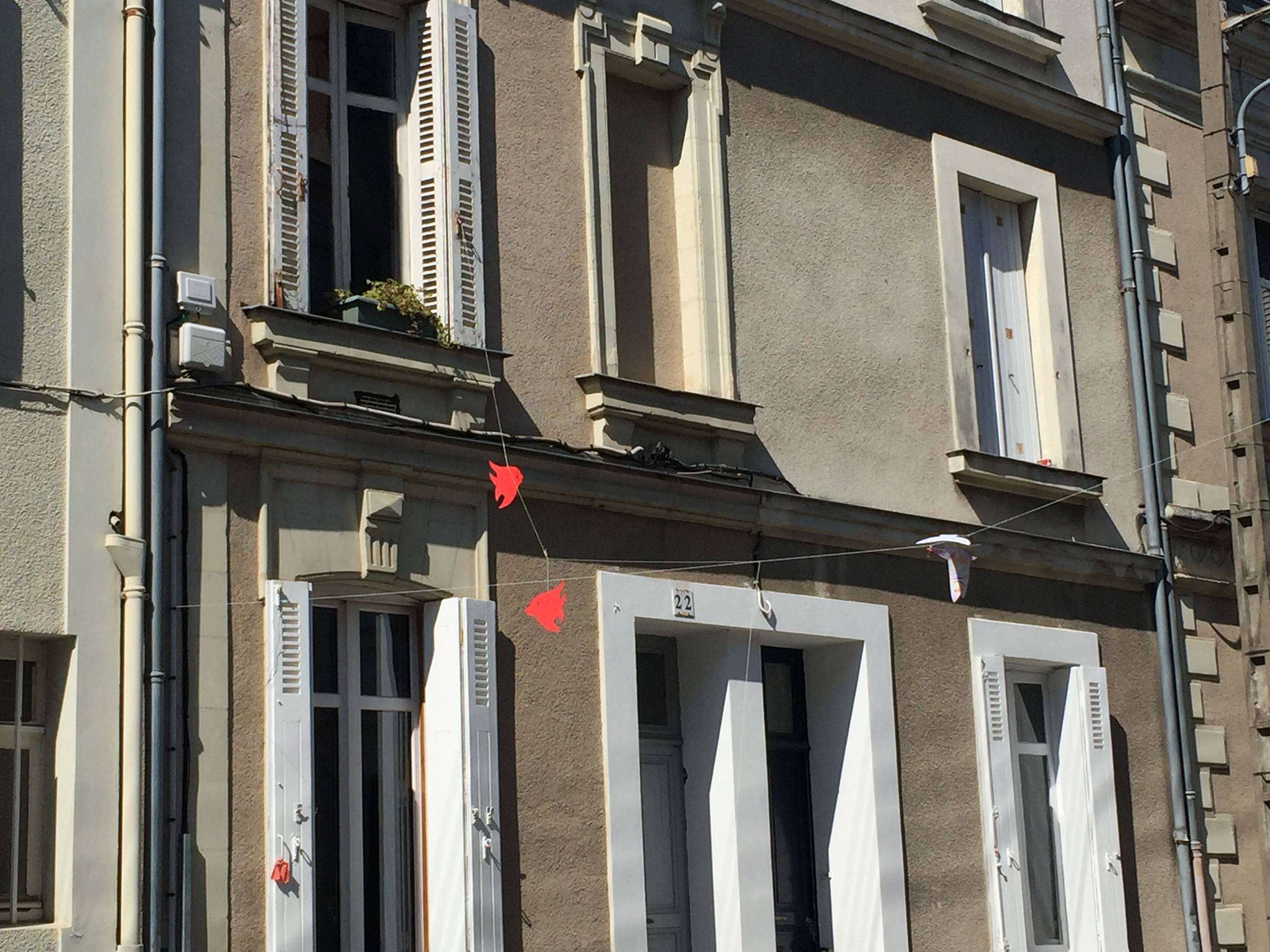 Une photo de l’annonce