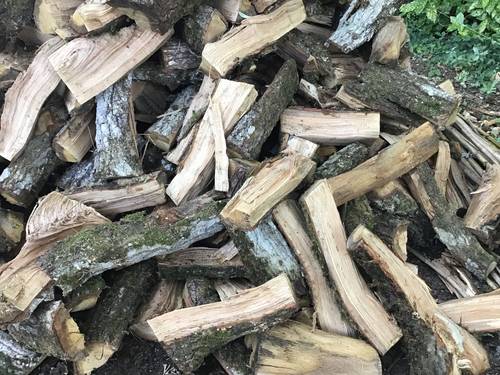 Vends bois de chauffage en chêne