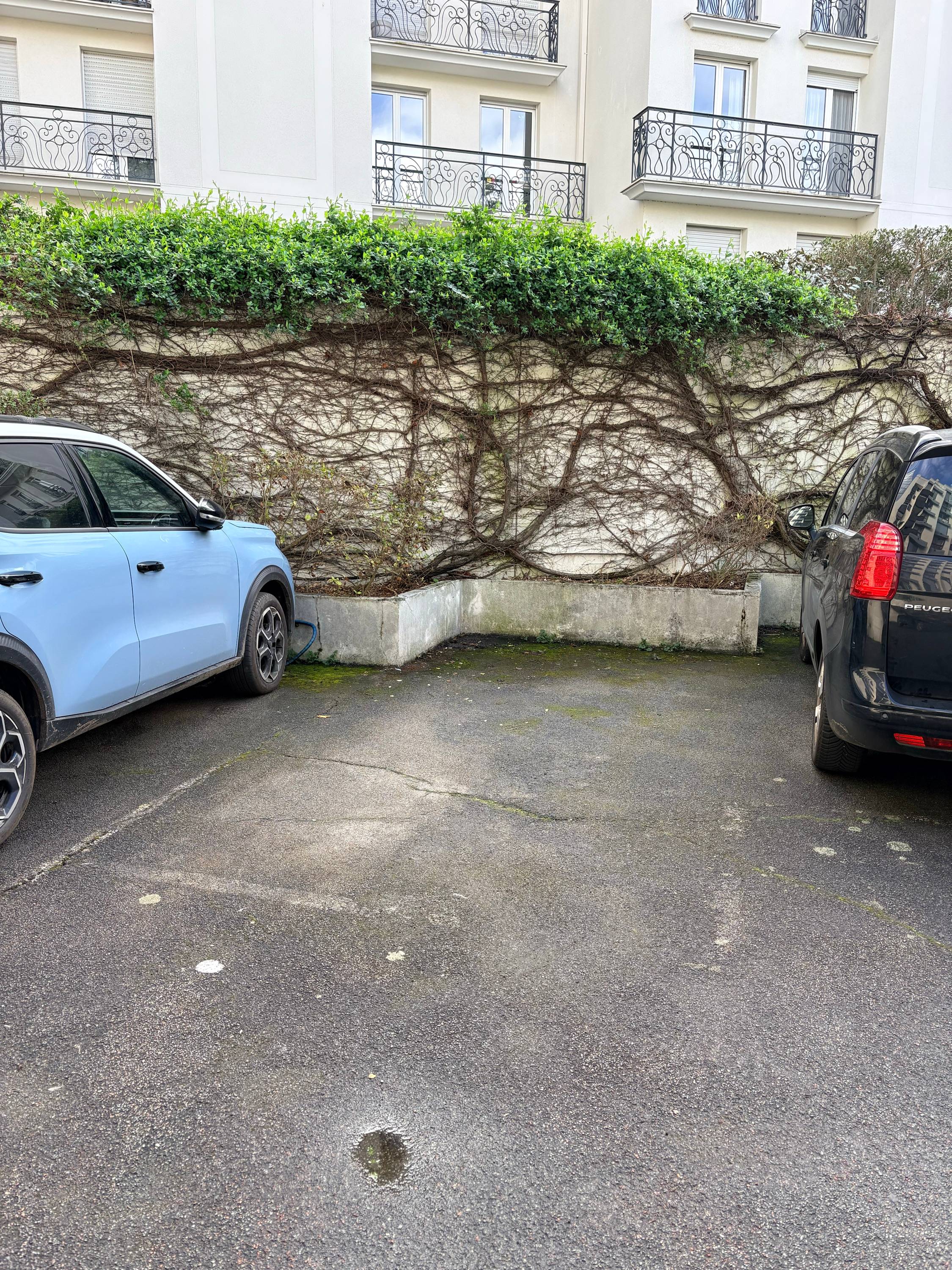 Une photo de l’annonce