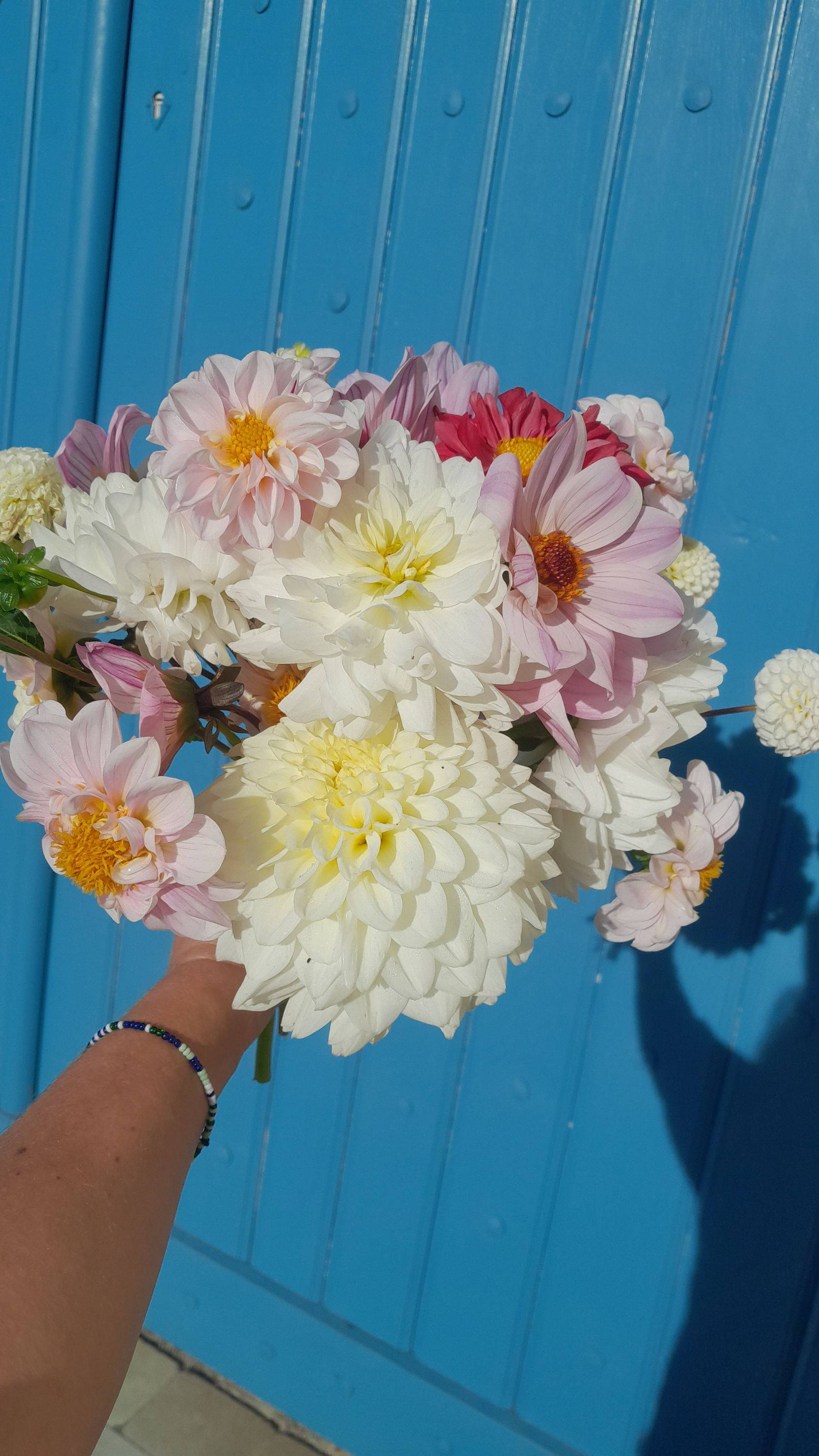 Vends fleurs locales et de saison