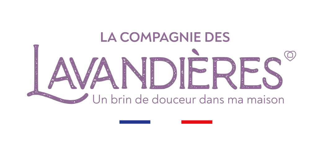 Propose Prestation de service d’entretien du domicile
