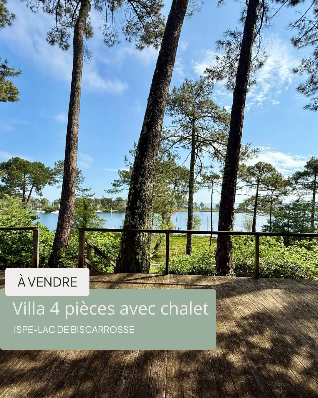 Une photo de l’annonce