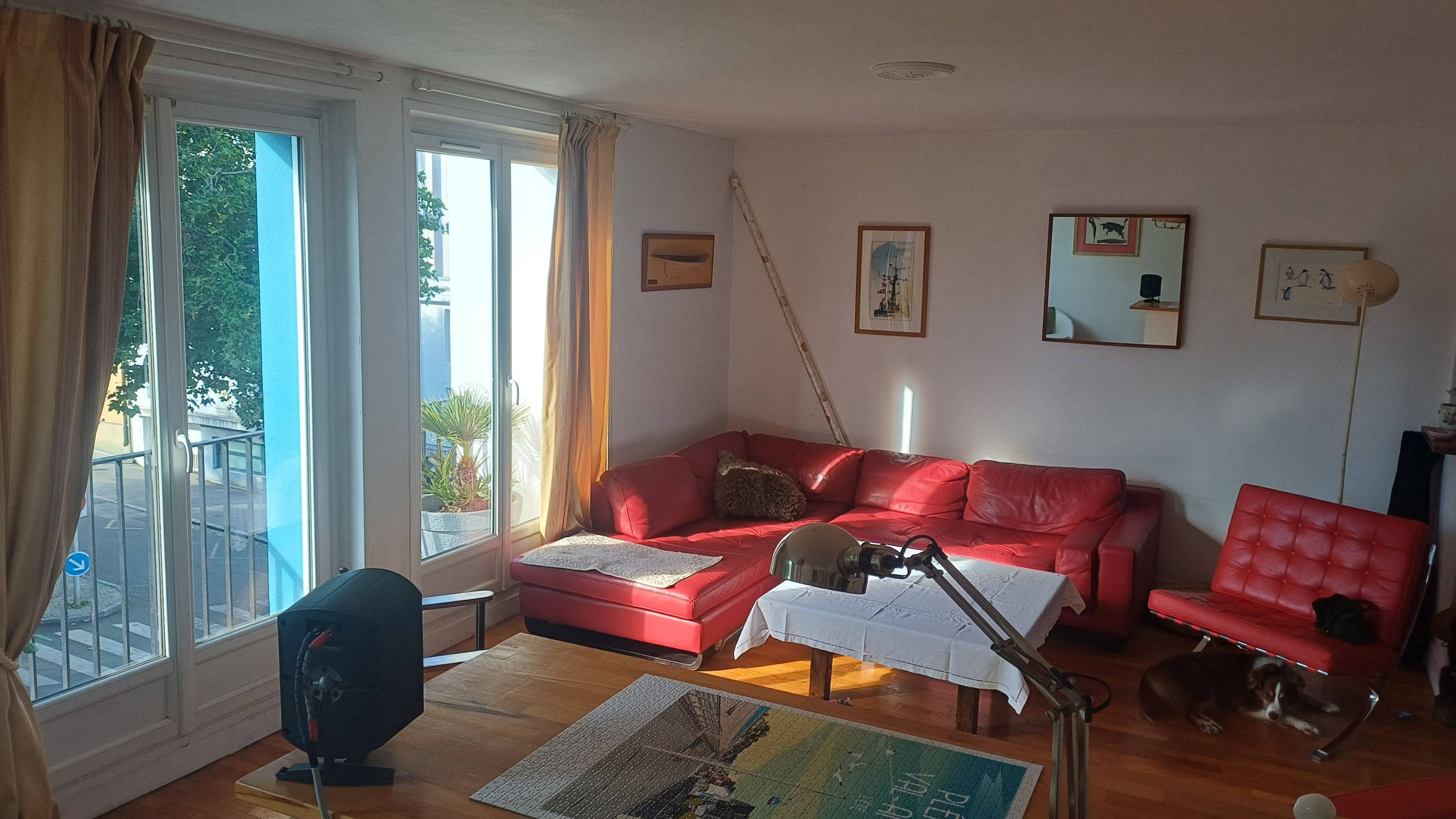Une photo de l’annonce