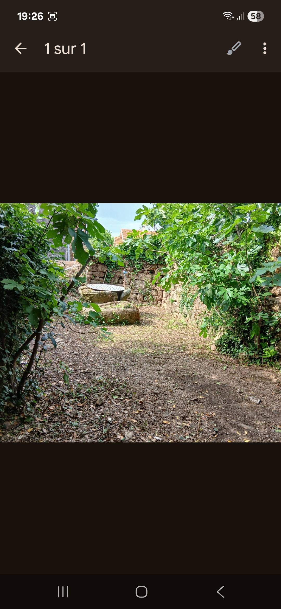 Une photo de l’annonce