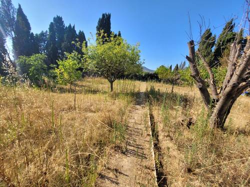 Vends terrain agricole sur Paziols