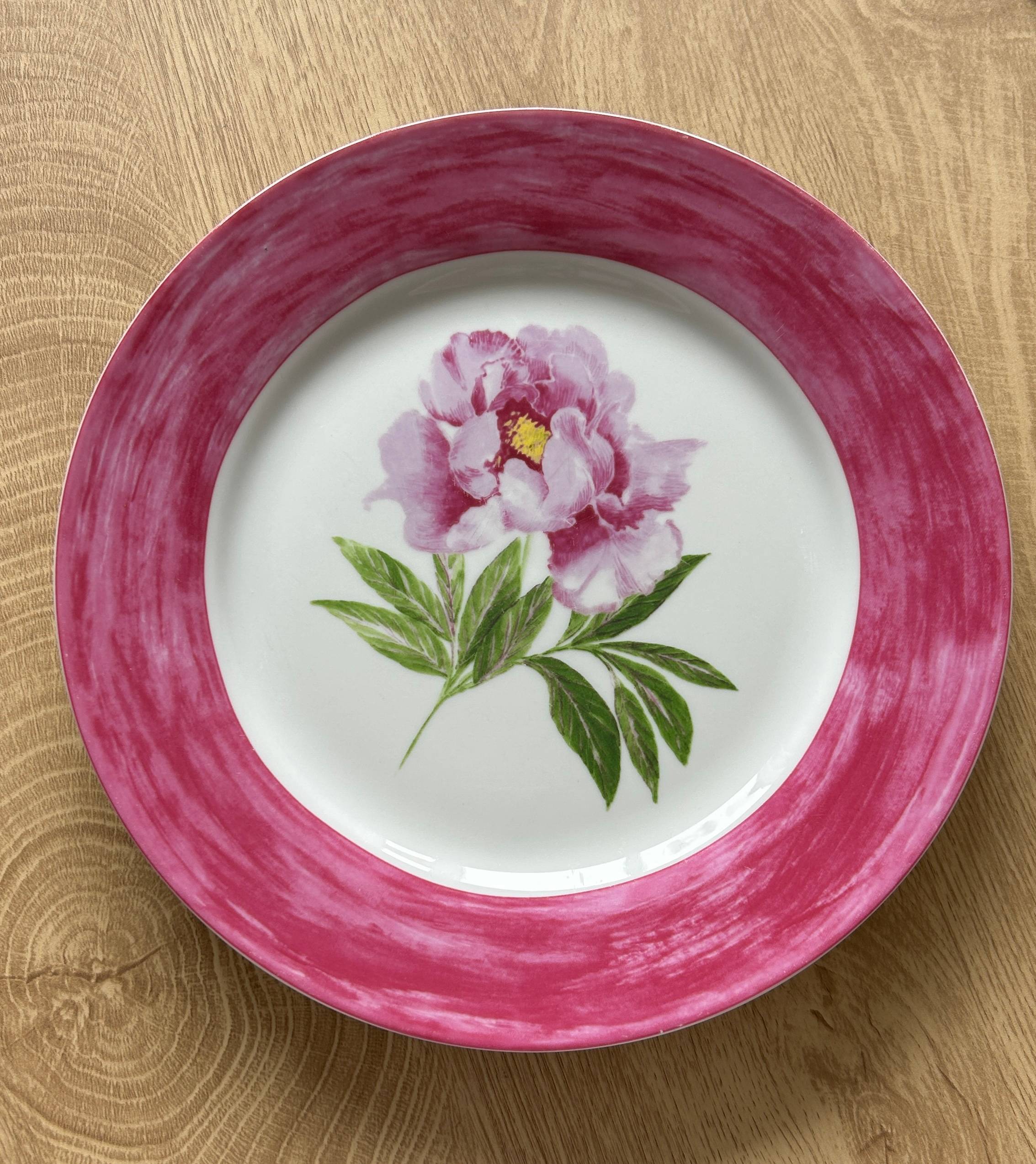 Vends assiettes en porcelaine décorées Claudie Franel